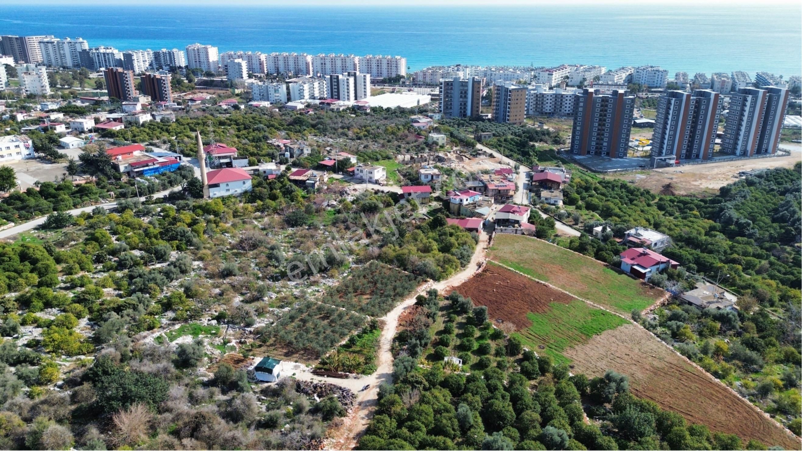 Denize 500 M Mesafede Yatırım İçin Fırsat Bahçe - Görsel 21