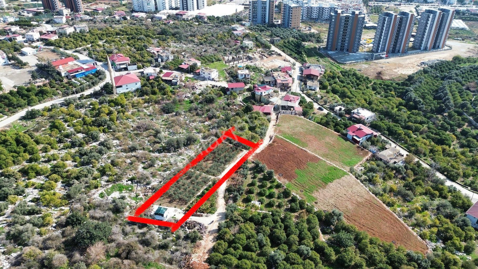 Denize 500 M Mesafede Yatırım İçin Fırsat Bahçe - Görsel 34