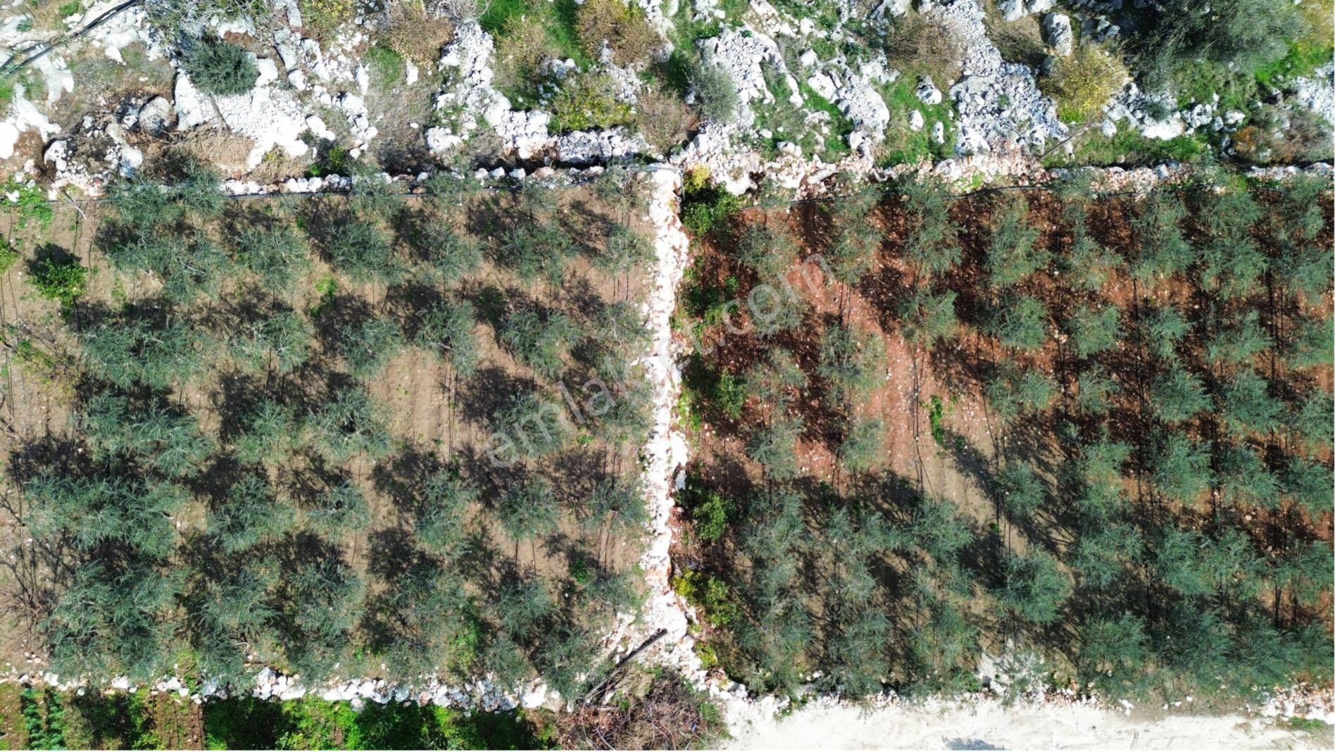 Denize 500 M Mesafede Yatırım İçin Fırsat Bahçe - Görsel 18