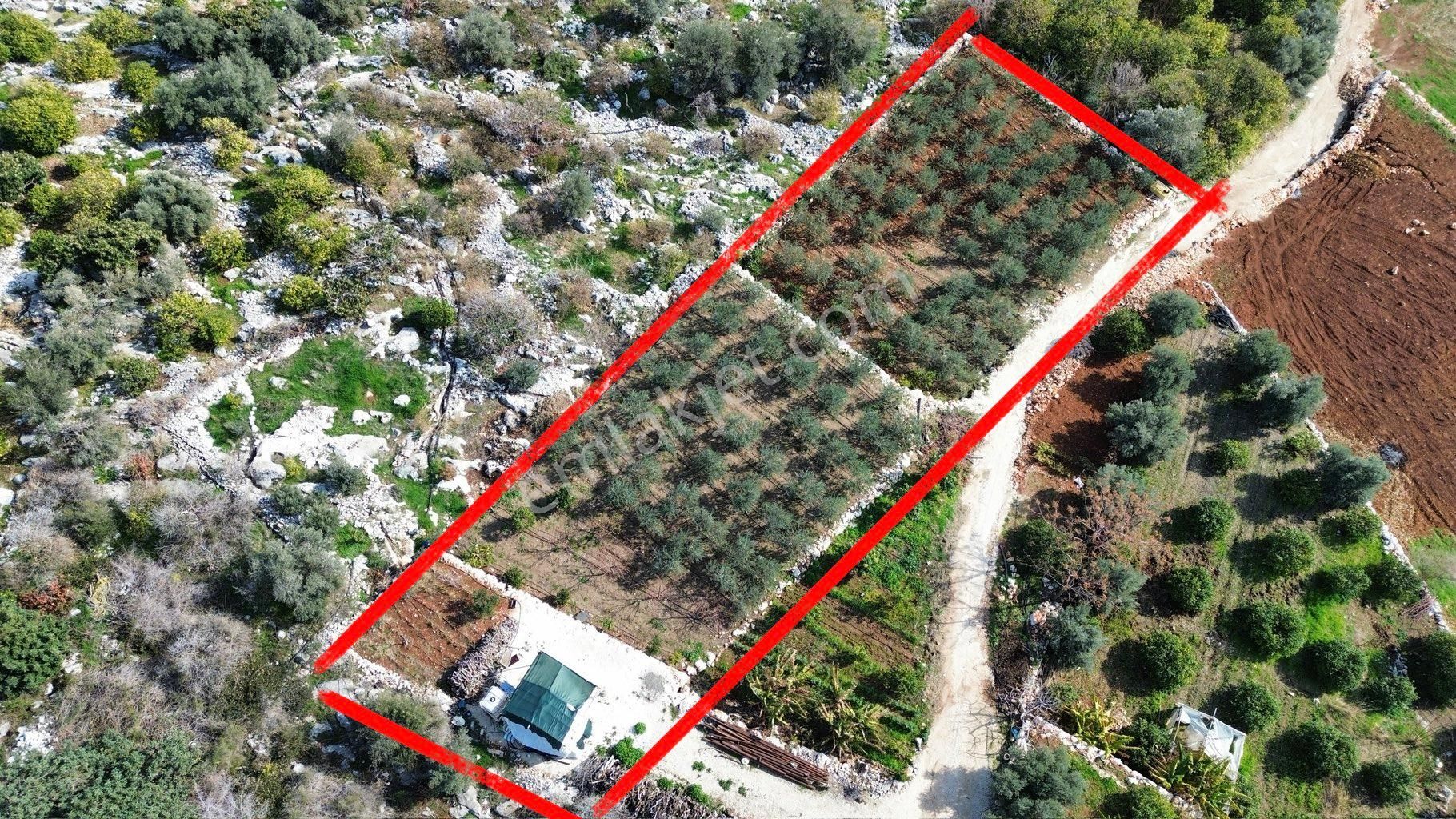 Denize 500 M Mesafede Yatırım İçin Fırsat Bahçe - Görsel 3