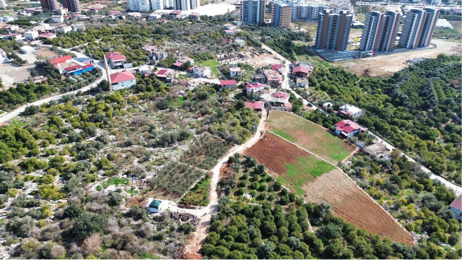 Denize 500 M Mesafede Yatırım İçin Fırsat Bahçe - Görsel 31