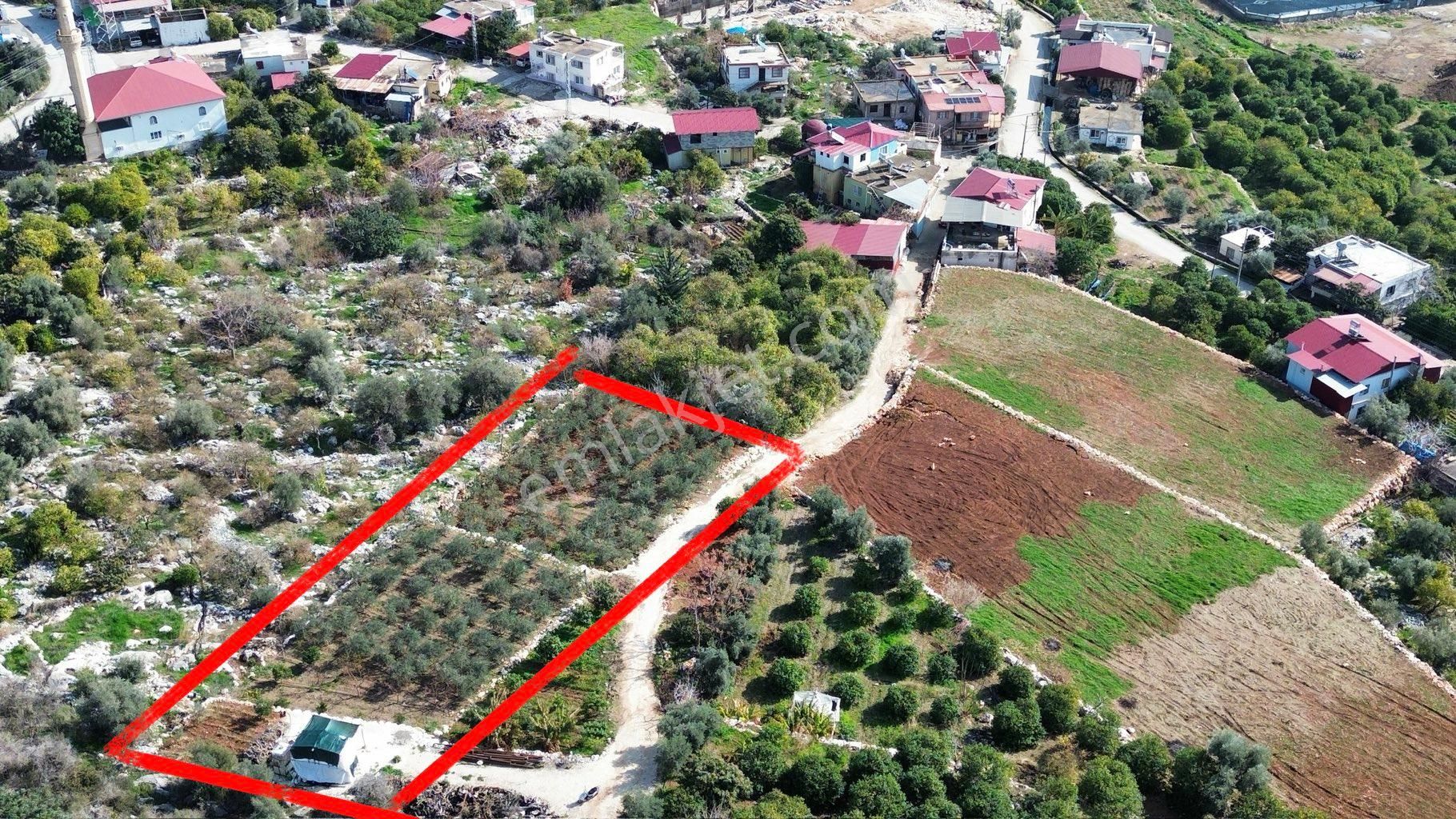 Denize 500 M Mesafede Yatırım İçin Fırsat Bahçe - Görsel 4