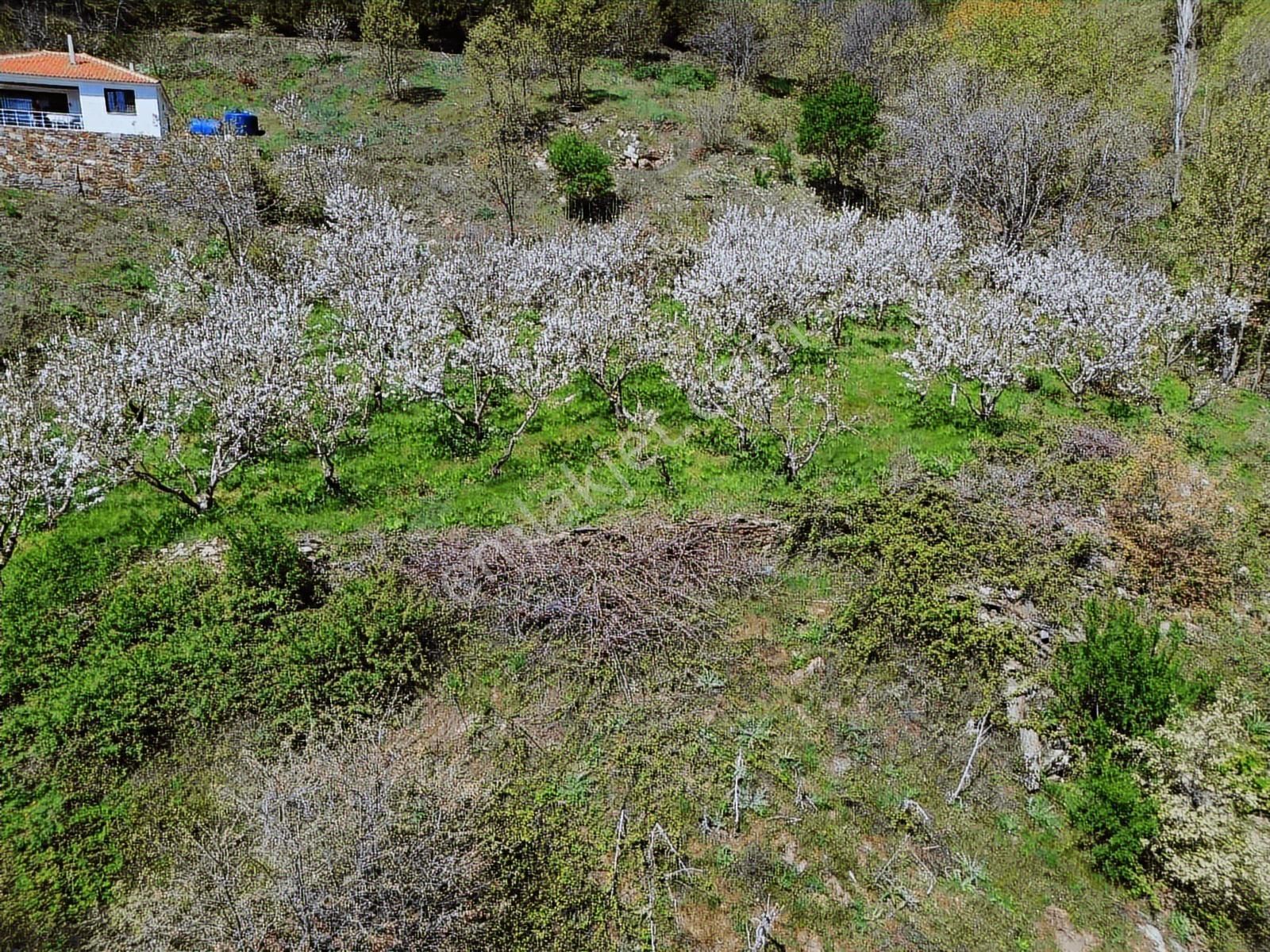 Bayındır Çınardibi Köyüne Yakın Ormanda Dag Evi - Görsel 12
