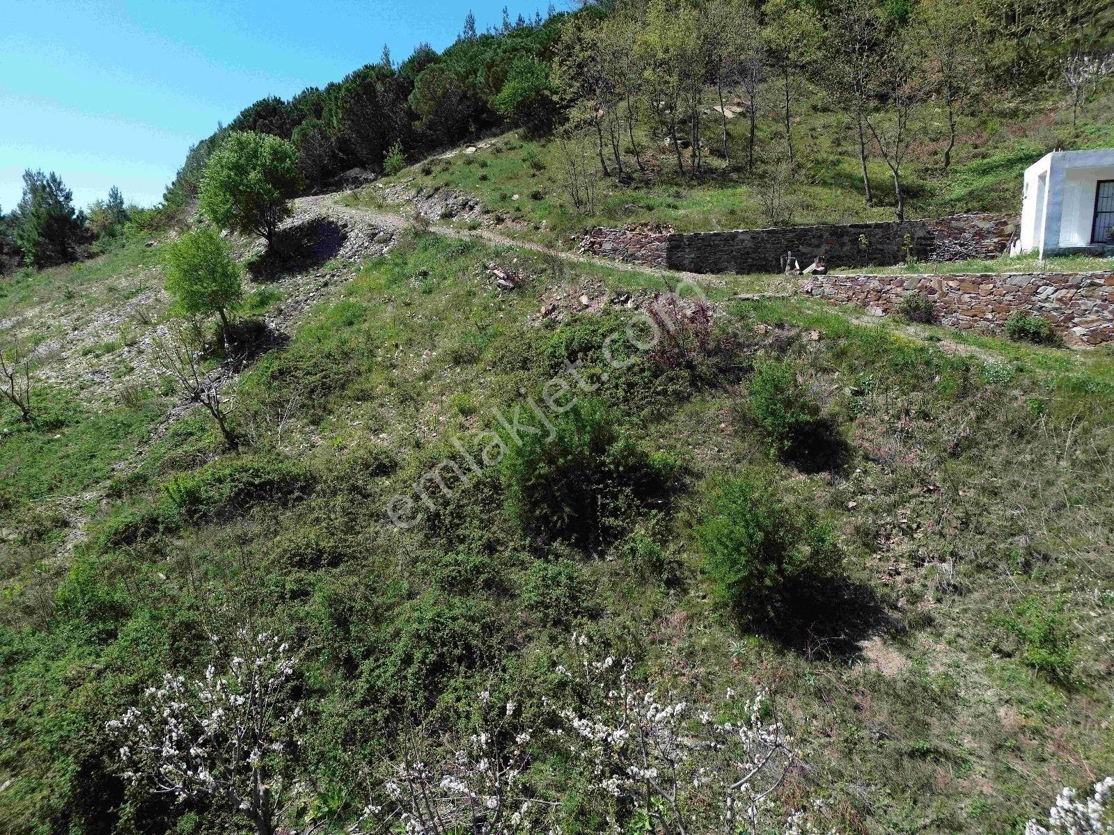 Bayındır Çınardibi Köyüne Yakın Ormanda Dag Evi - Görsel 13