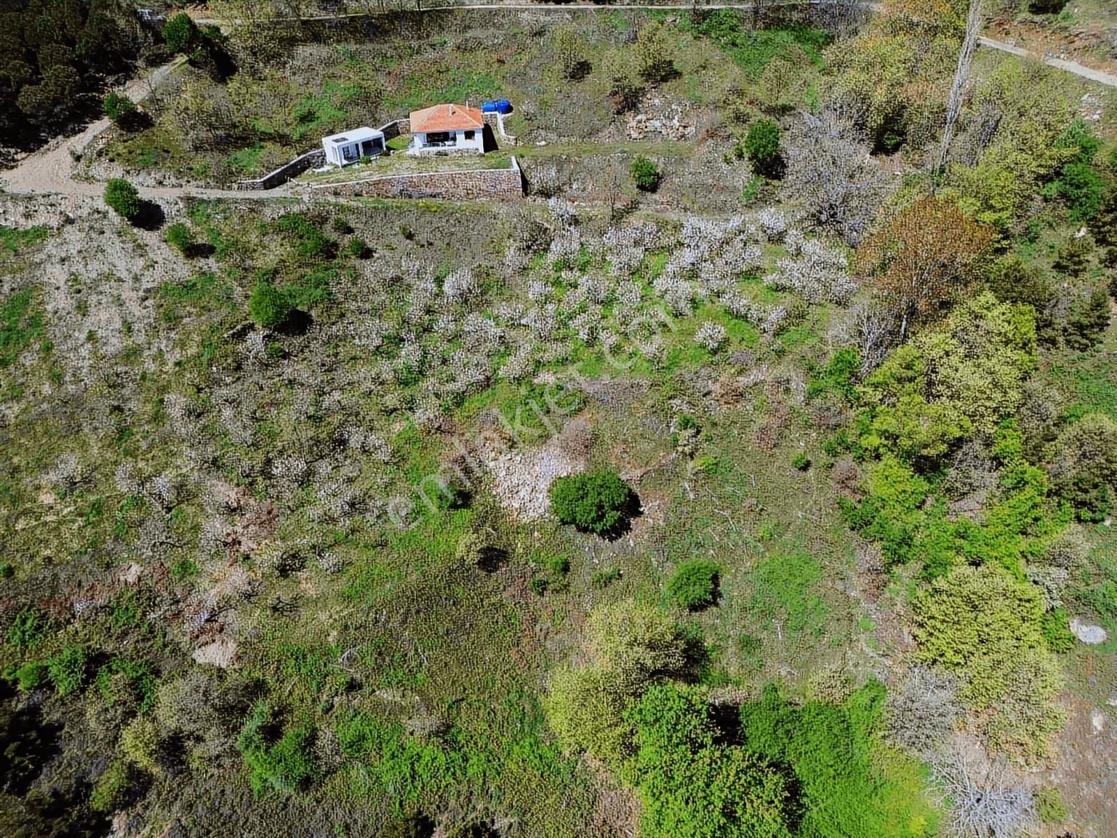 Bayındır Çınardibi Köyüne Yakın Ormanda Dag Evi - Görsel 12