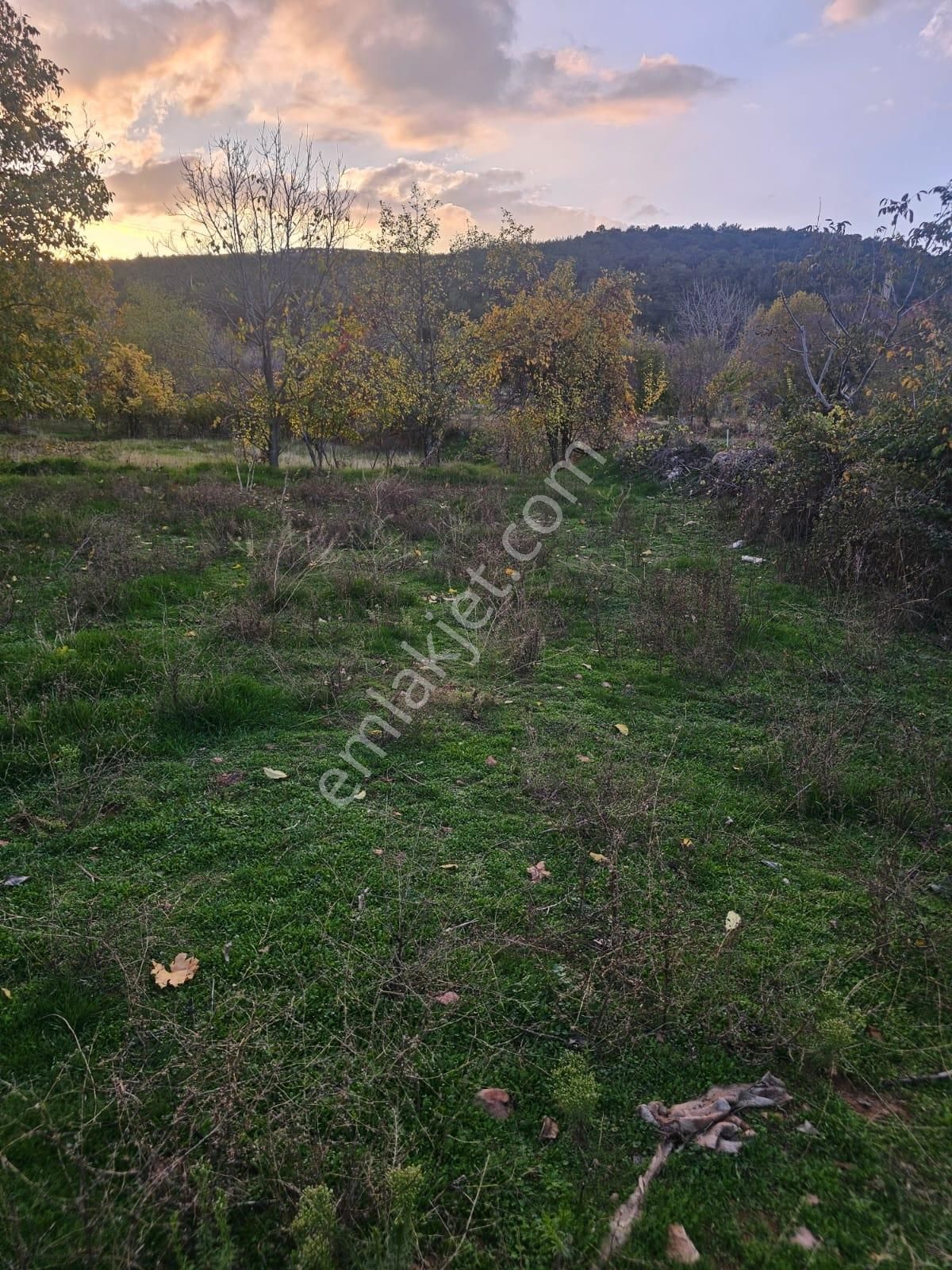 Uşak Banaz Kuşdemirlerde Satılık Arsa - Görsel 7