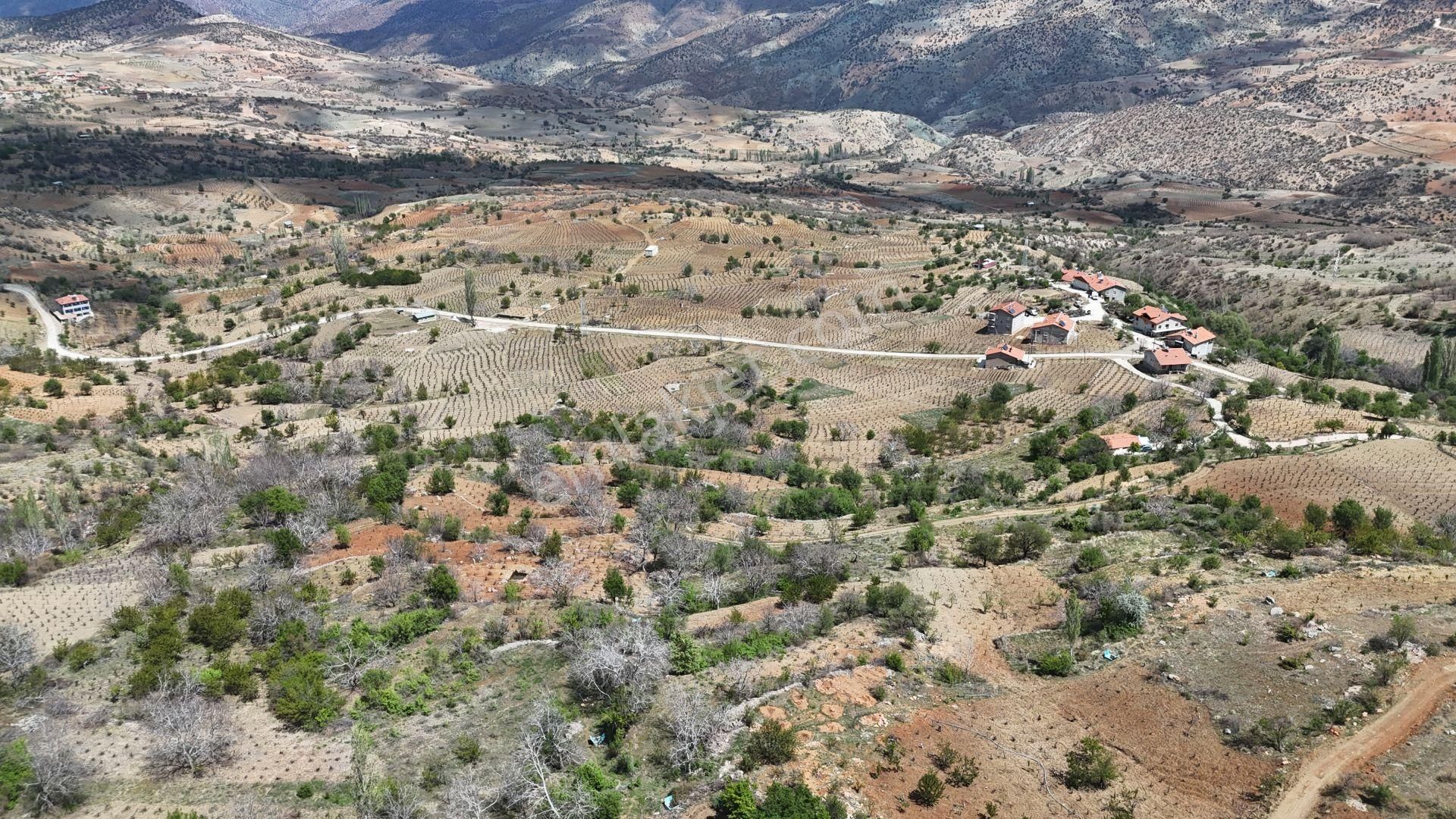 Konya / Hadim / Göynükkışla Mahallesinde 43 M² Müstakil Tapulu Bahçe - Görsel 3