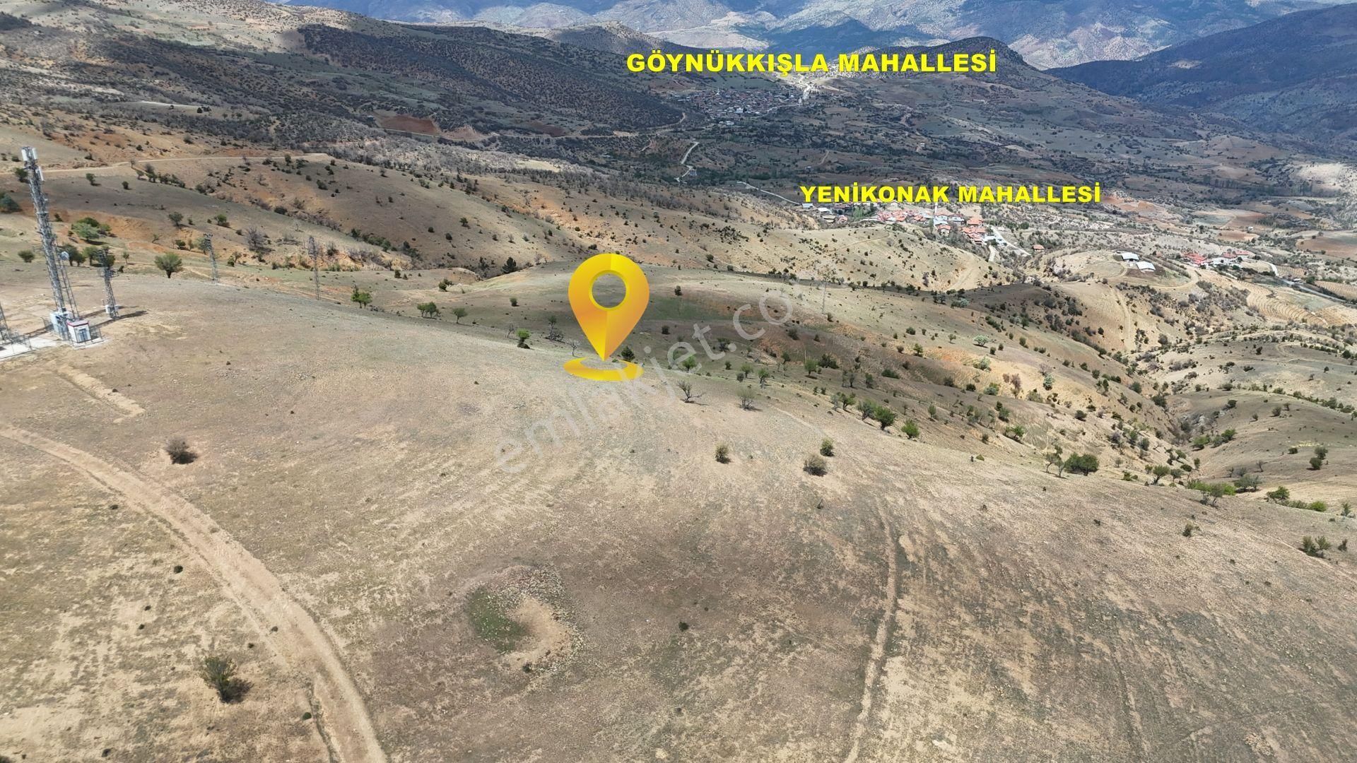 Konya / Hadim / Göynükkışla Mahallesinde 483 M² Müstakil Tapulu Tarla - Görsel 3