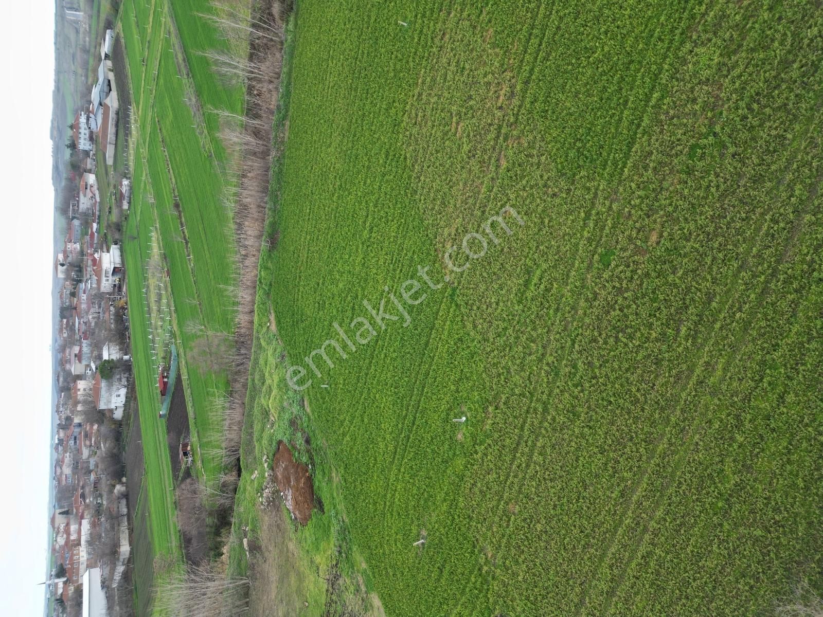 Alban Tekirdağ Ergenede Konut İmarlı 326m² Tek Tapu Satılık Arsa - Görsel 7