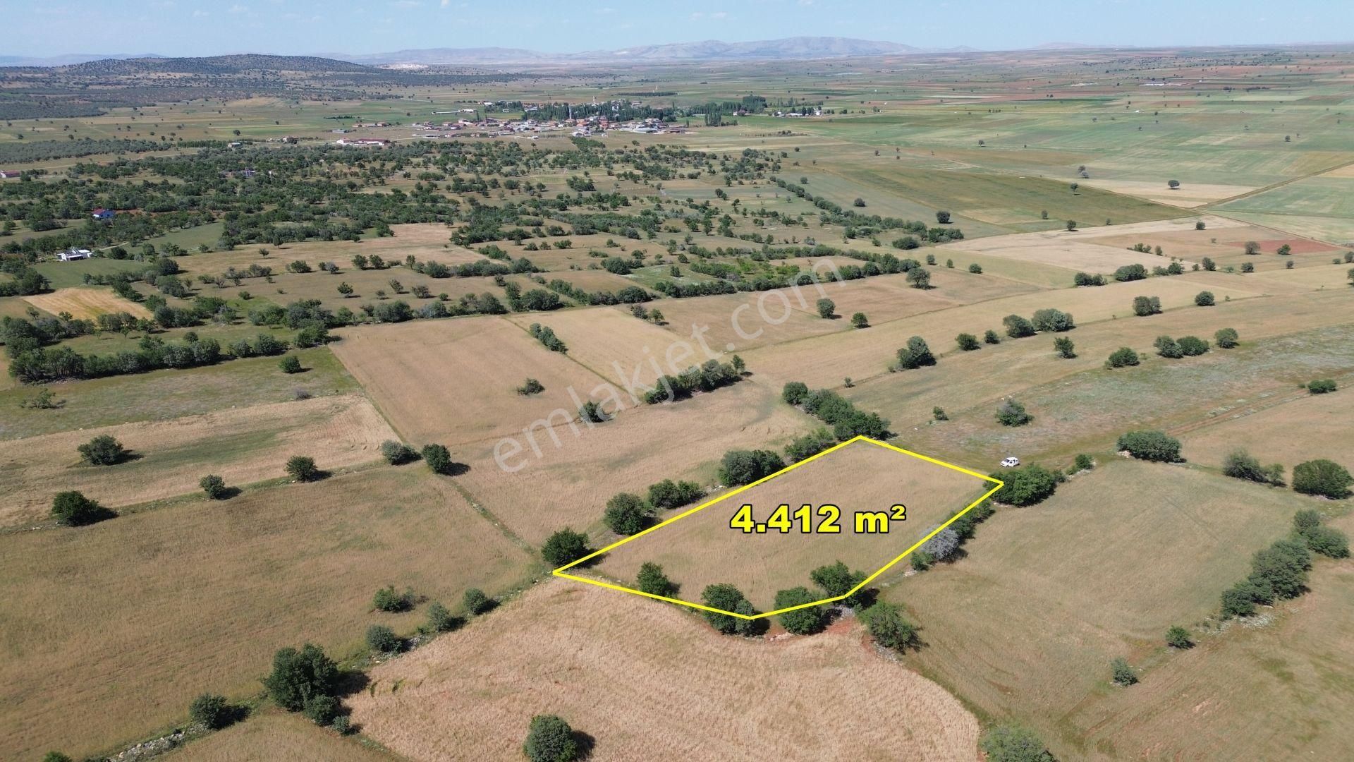 Konya / Akören / Karahüyükte Yeşillikler İçinde 4.412 M² Müstakil Tarla - Görsel 3