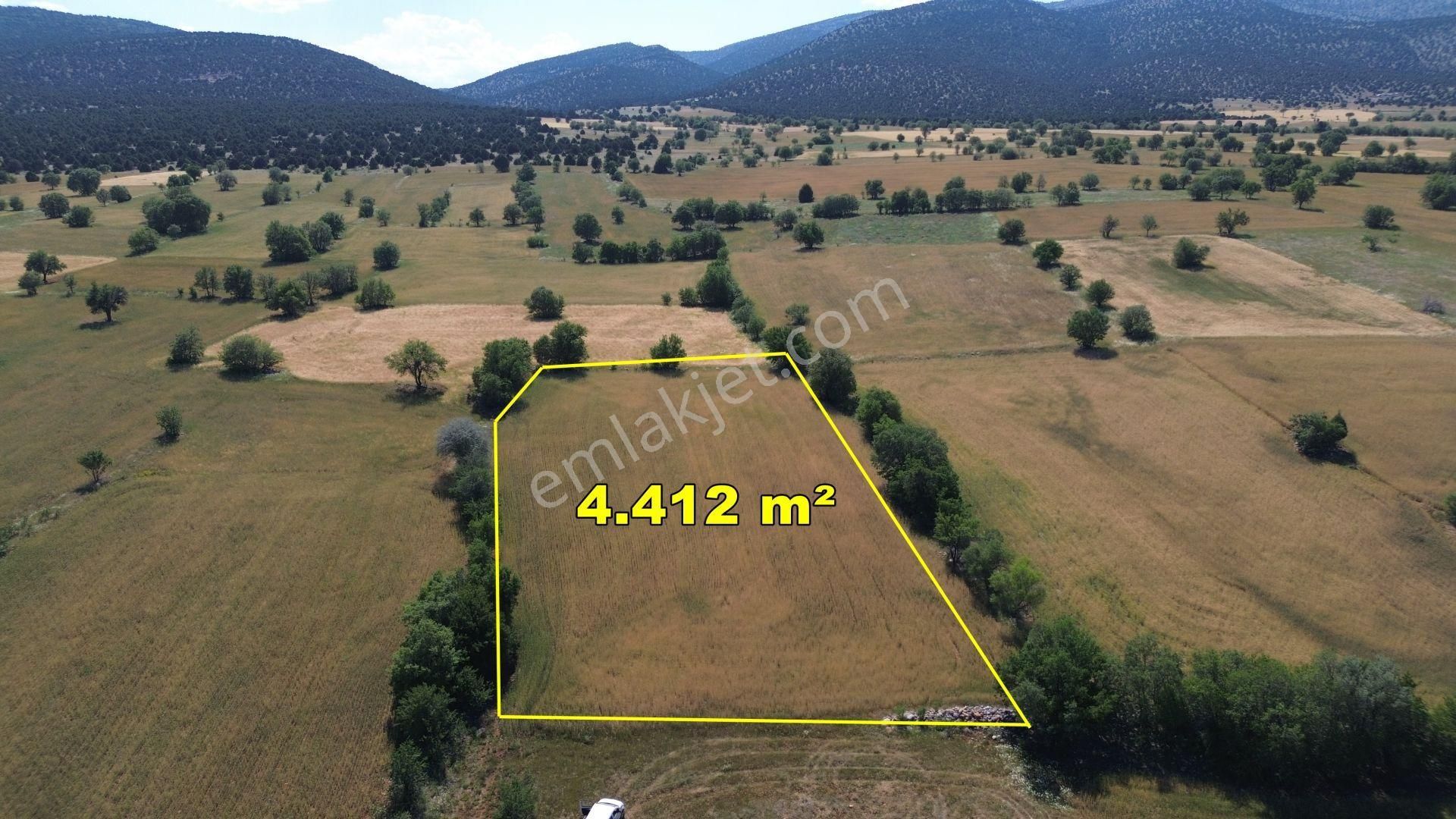Konya / Akören / Karahüyükte Yeşillikler İçinde 4.412 M² Müstakil Tarla - Görsel 1