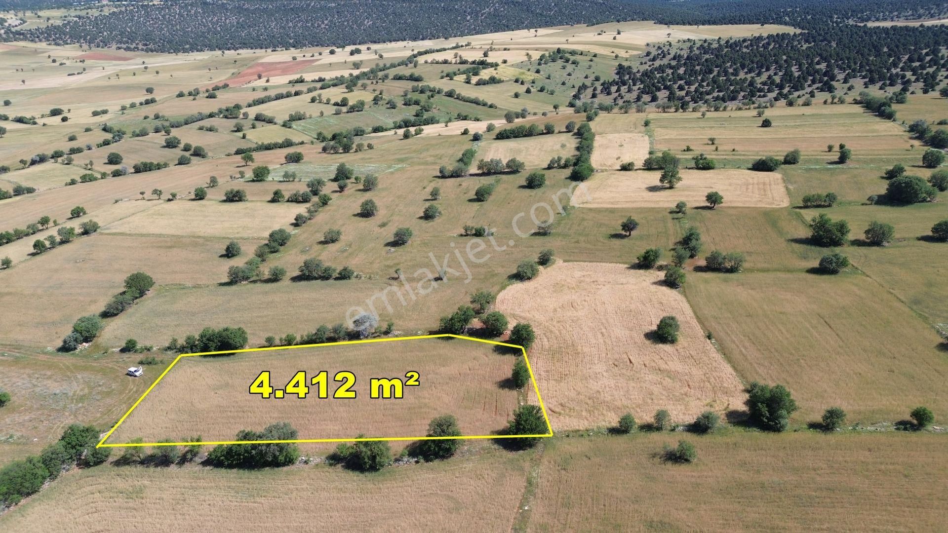 Konya / Akören / Karahüyükte Yeşillikler İçinde 4.412 M² Müstakil Tarla - Görsel 5