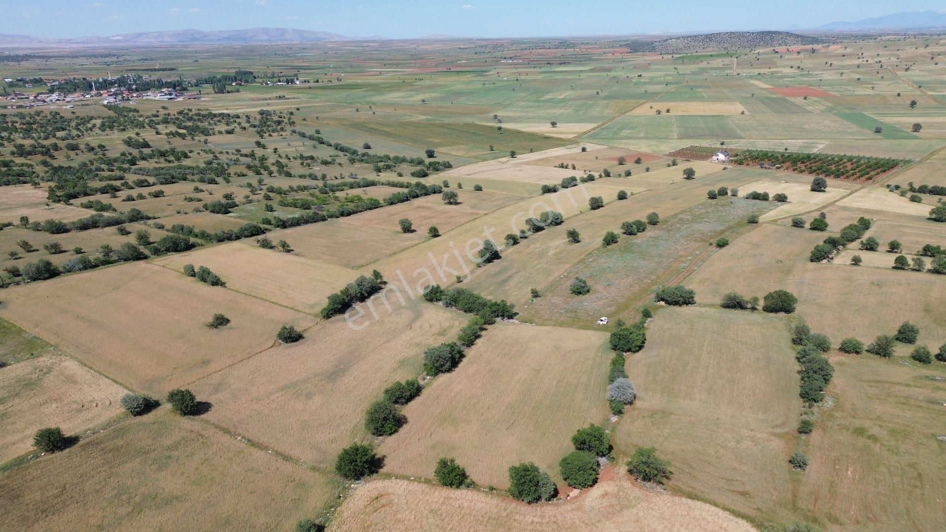 Konya / Akören / Karahüyükte Yeşillikler İçinde 4.412 M² Müstakil Tarla - Görsel 2