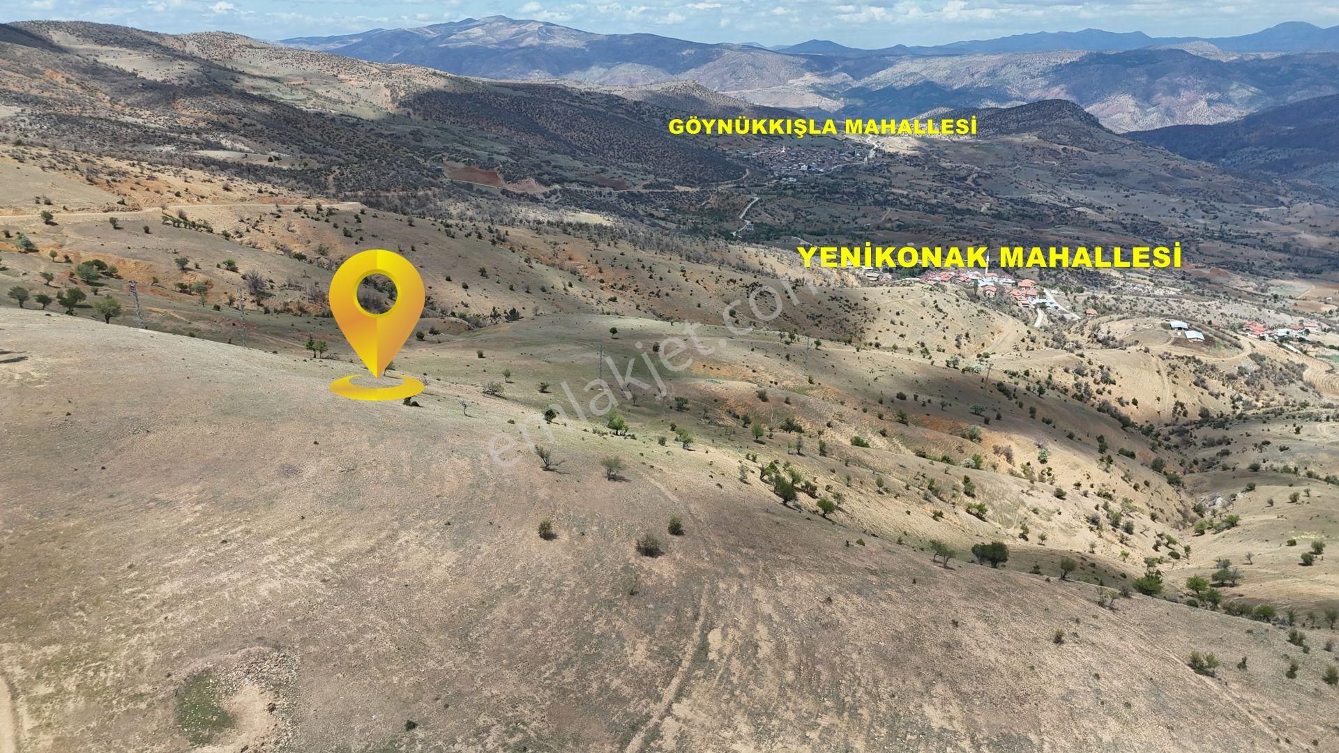 Konya / Hadim / Göynükkışla Mahallesinde 425 M² Müstakil Tapulu Tarla - Görsel 4