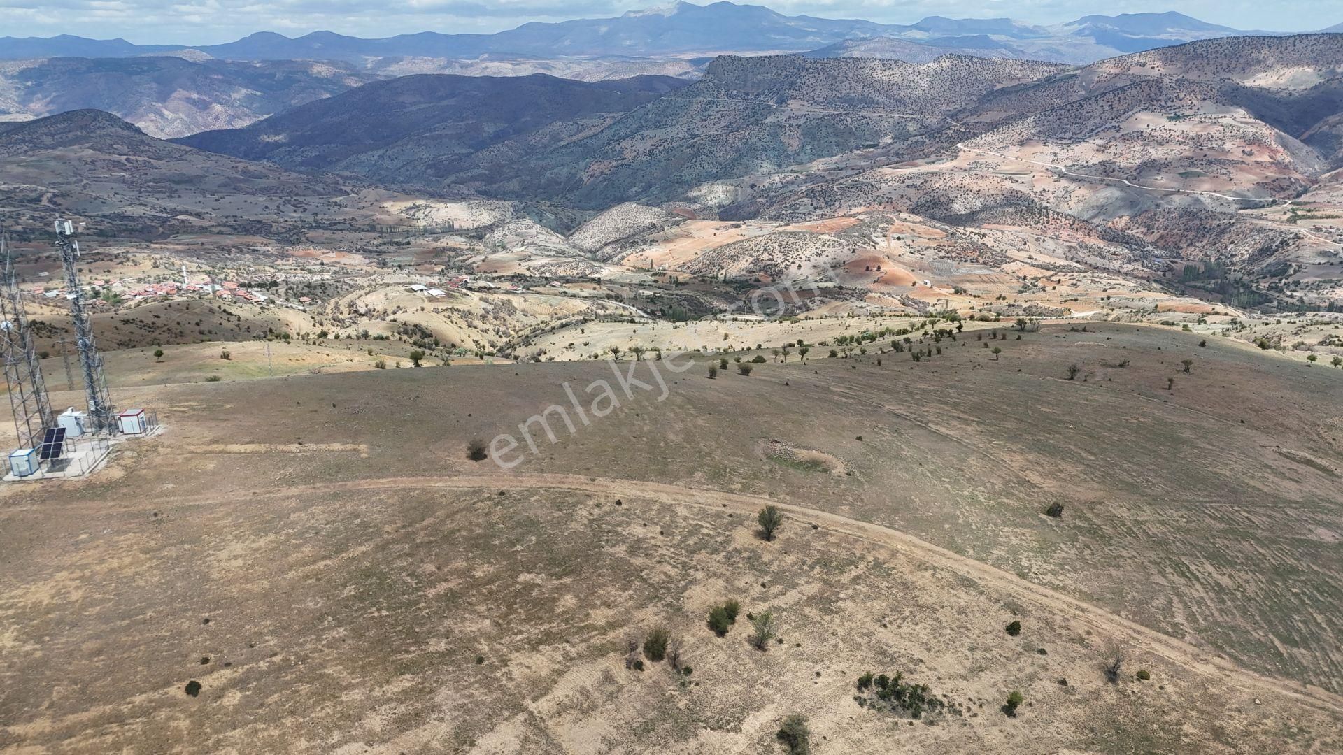 Konya / Hadim / Göynükkışla Mahallesinde 425 M² Müstakil Tapulu Tarla - Görsel 3