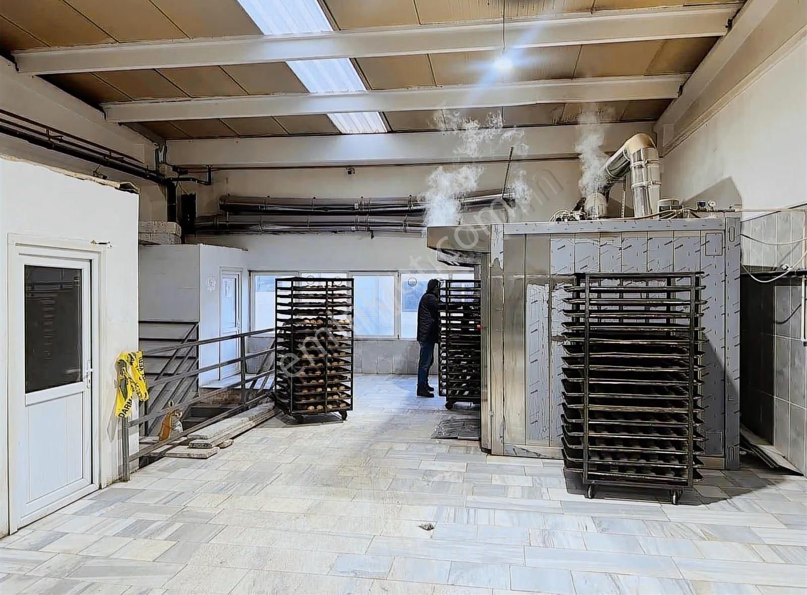 Devren Satılık Ekmek Üretim Tesisi - Görsel 4