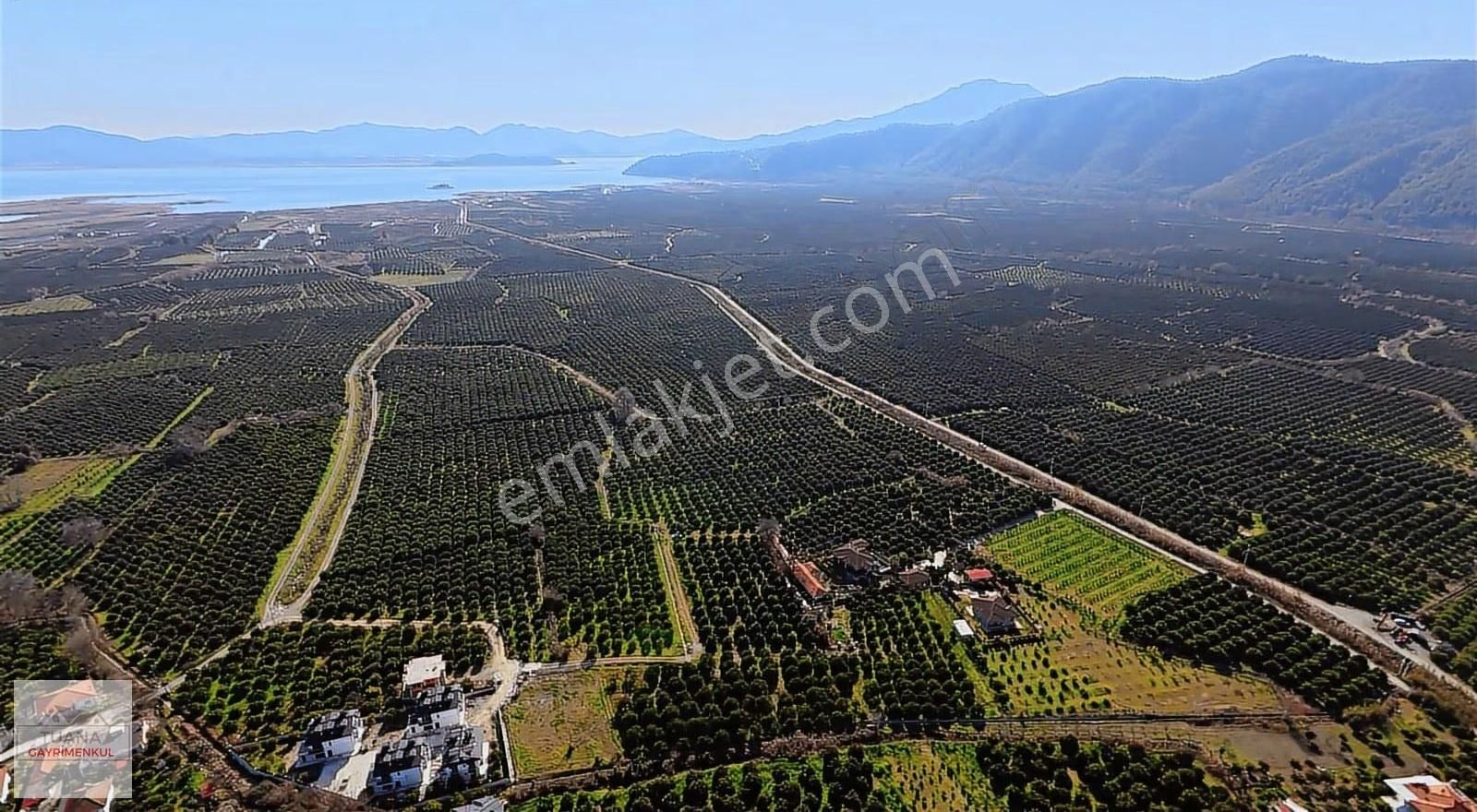 Tuana Emlak' Tan Hamit Köy'de 6859m² Narenciye Bahçesi - Görsel 11
