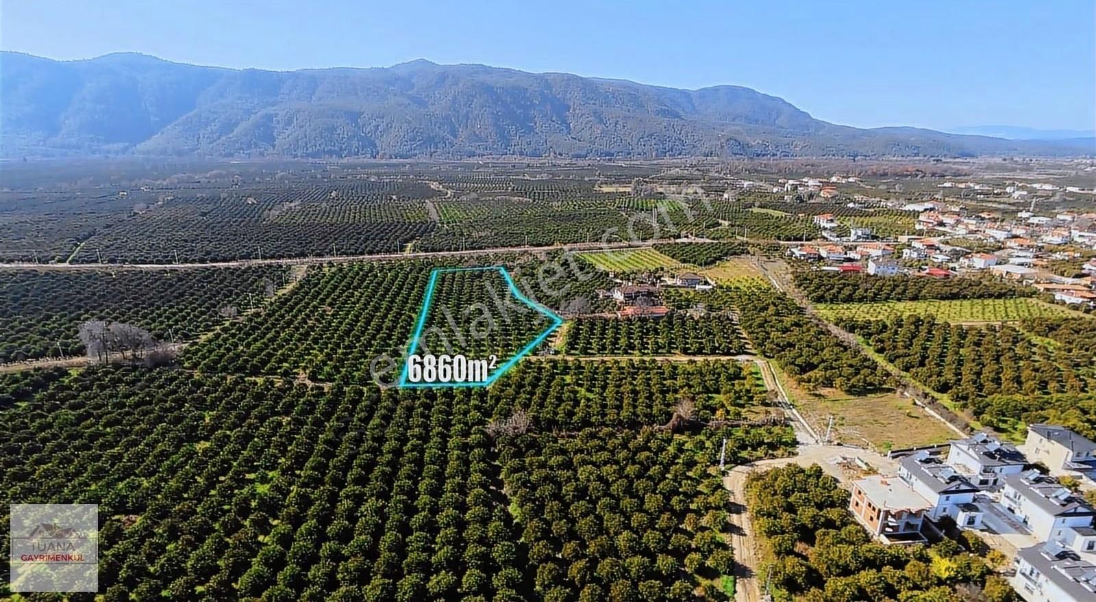 Tuana Emlak' Tan Hamit Köy'de 6859m² Narenciye Bahçesi - Görsel 8