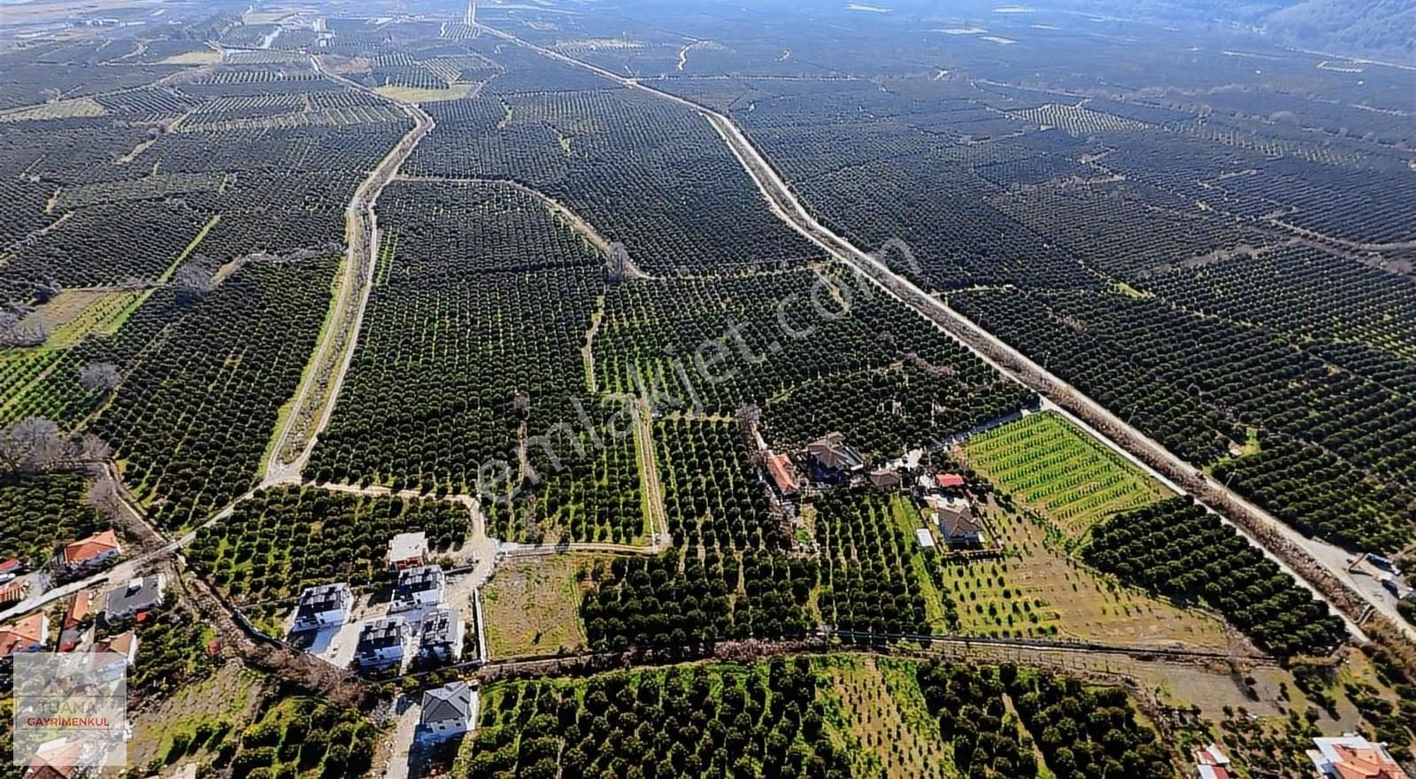 Tuana Emlak' Tan Hamit Köy'de 6859m² Narenciye Bahçesi - Görsel 3