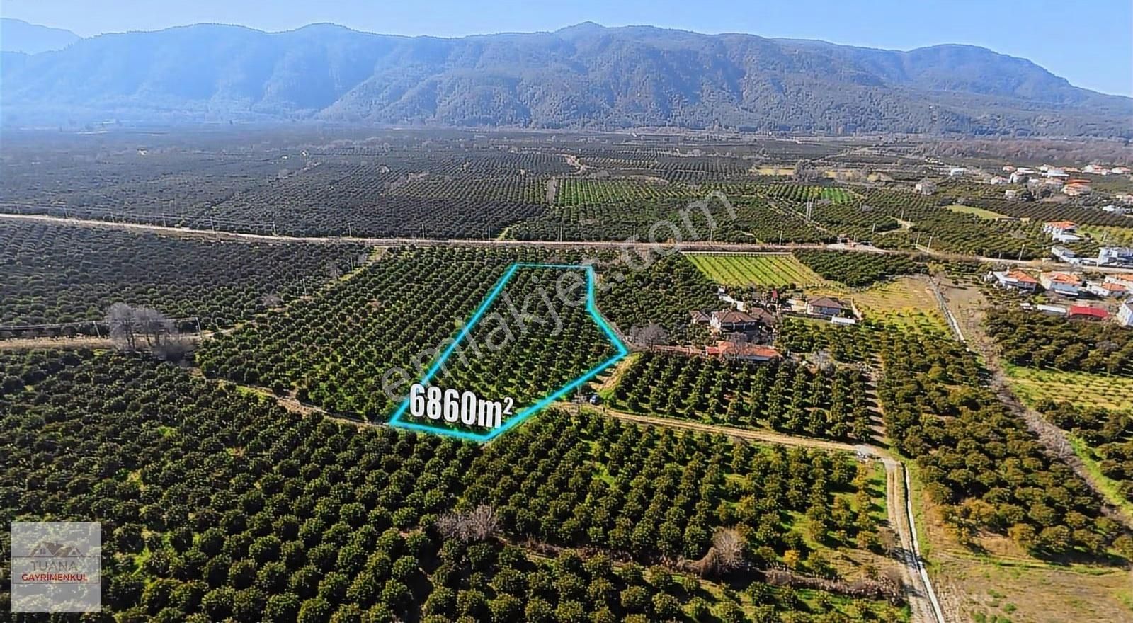 Tuana Emlak' Tan Hamit Köy'de 6859m² Narenciye Bahçesi - Görsel 12