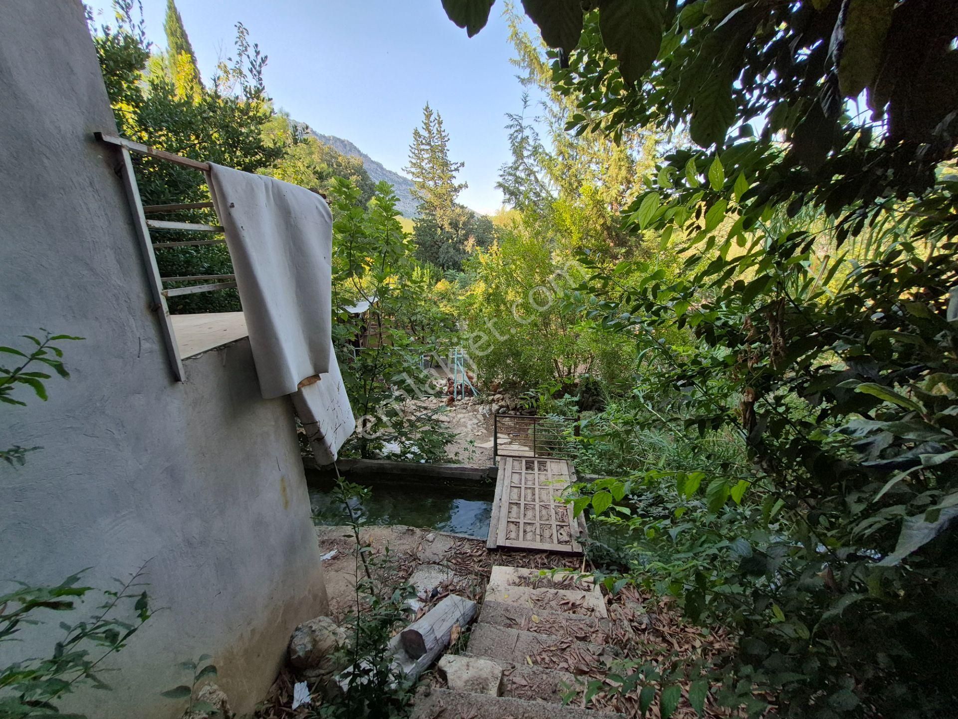 Doyran Köy Merkezinde 2.200 M2 İçerisinde Müstakil Ev Ve Bahçe - Görsel 6