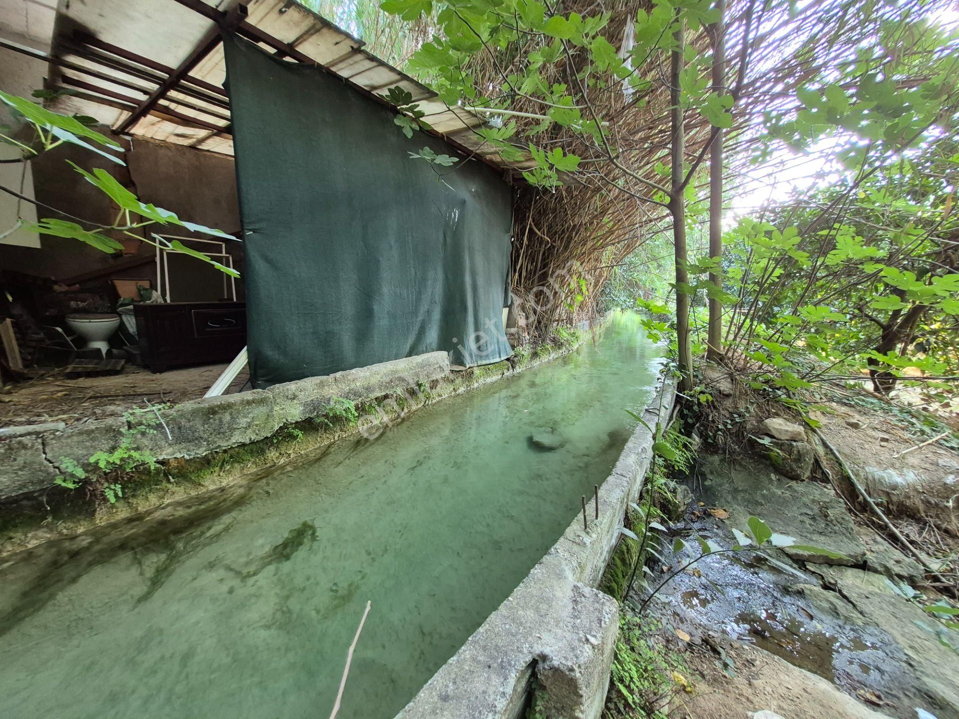 Doyran Köy Merkezinde 2.200 M2 İçerisinde Müstakil Ev Ve Bahçe