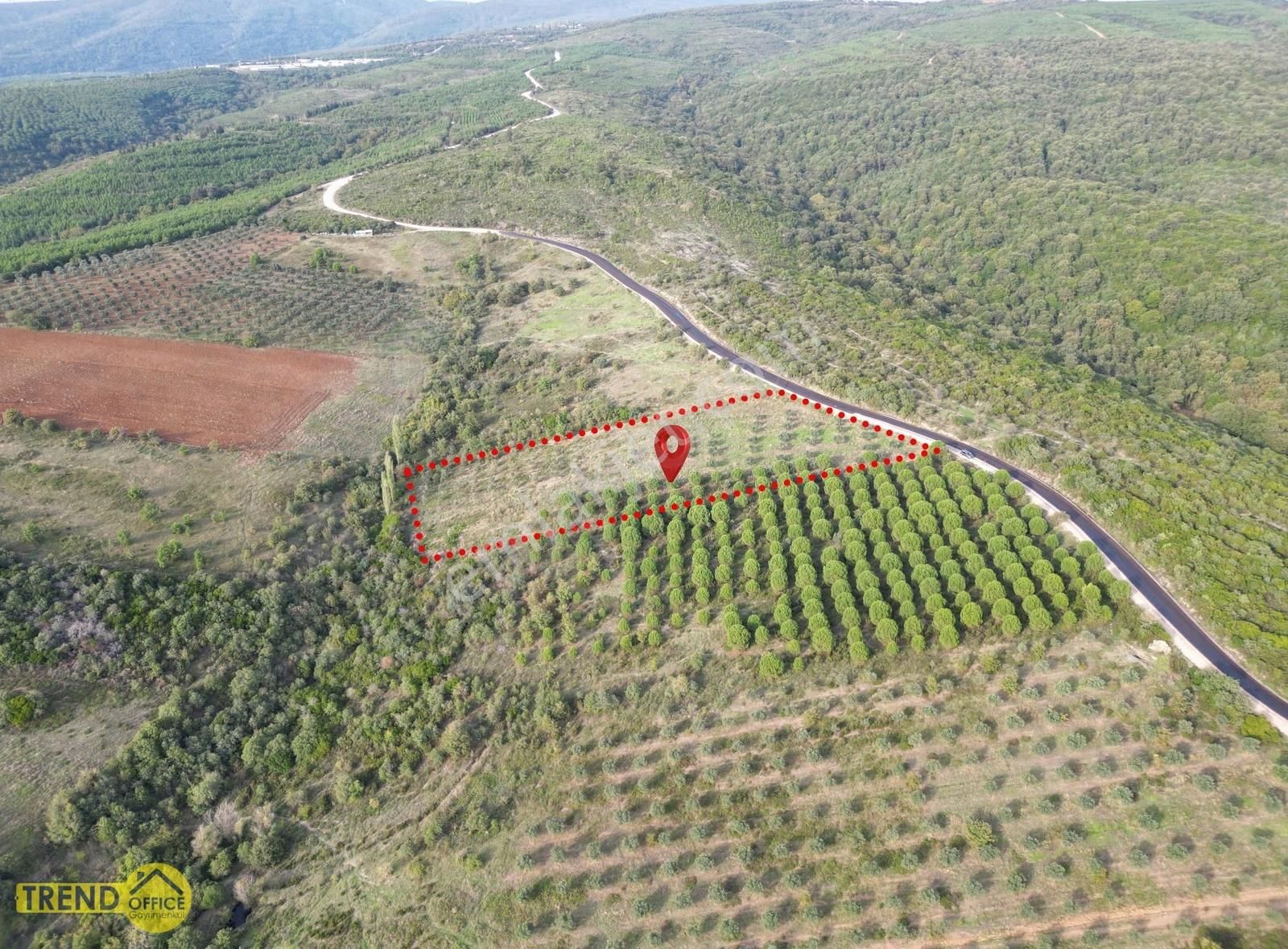 Karacabey Doğla Asfalta Cephe 8600 M2 Satılık Tarla - Görsel 5