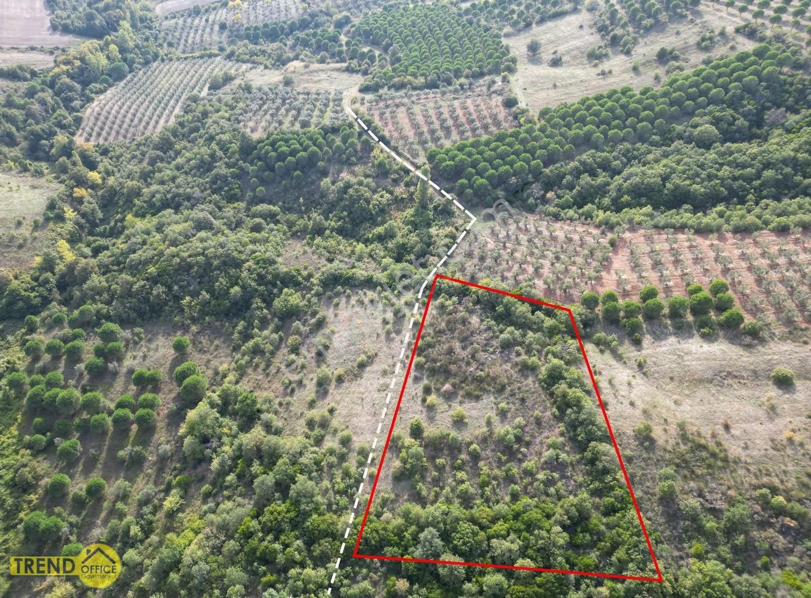 Karacabey Okçular 3900 M2 Satılık Tarla - Görsel 3