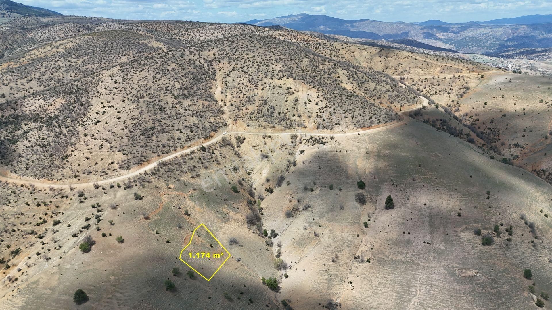 Konya / Hadim / Göynükkışla Mahallesinde 1.174 M² Müstakil Tapulu Tarla - Görsel 6