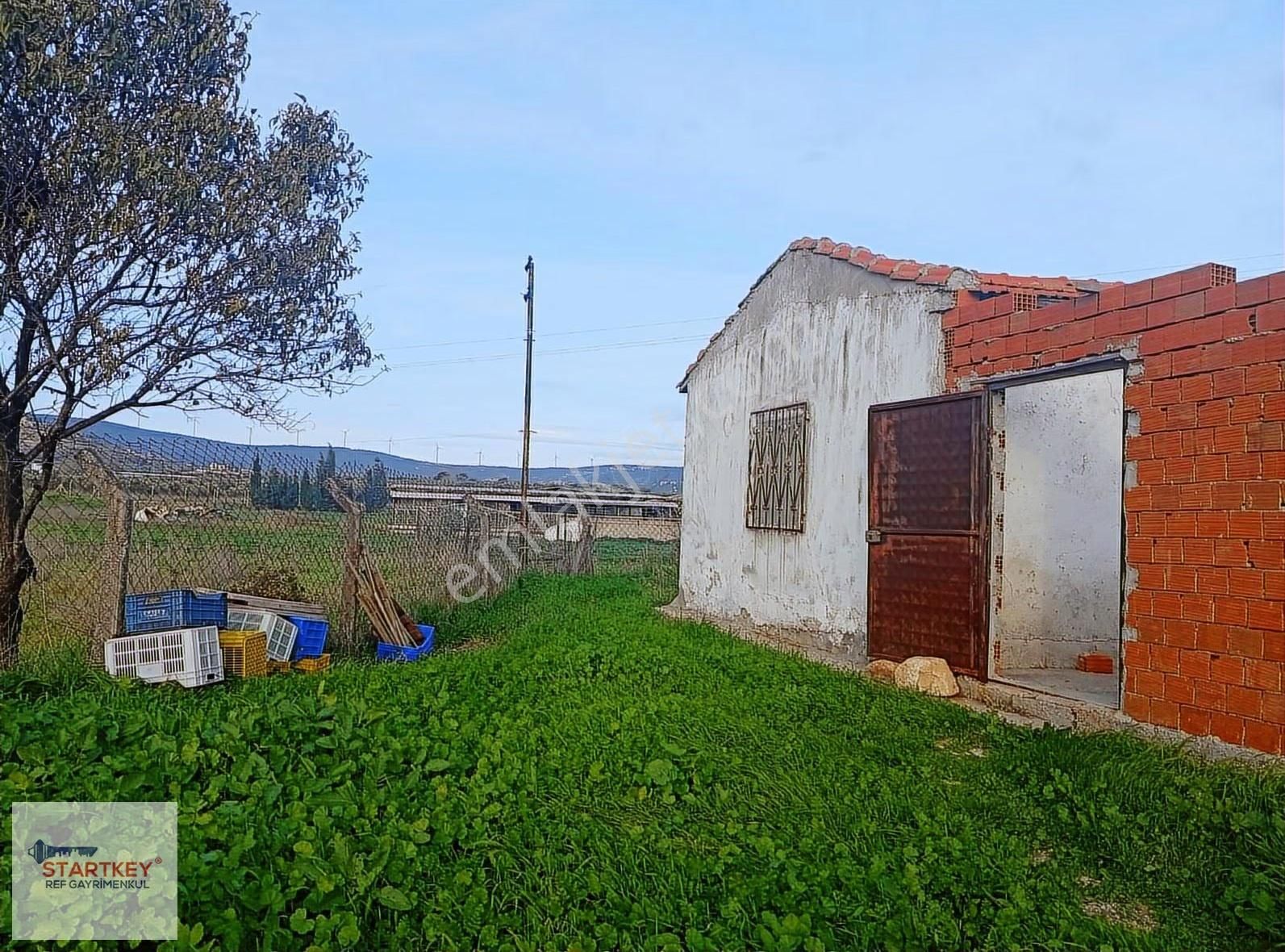 Foça Yenibağarası İmar Sınırında Yatırım Fırsatı Satılık Tarla - Görsel 2