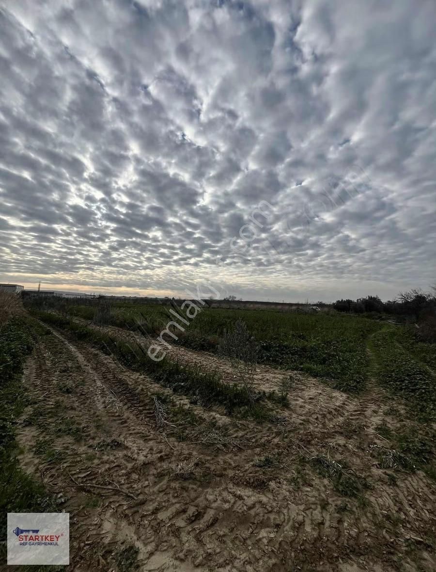 Çanakkale Asfaltı Üzeri Satılık Tarla - Görsel 5