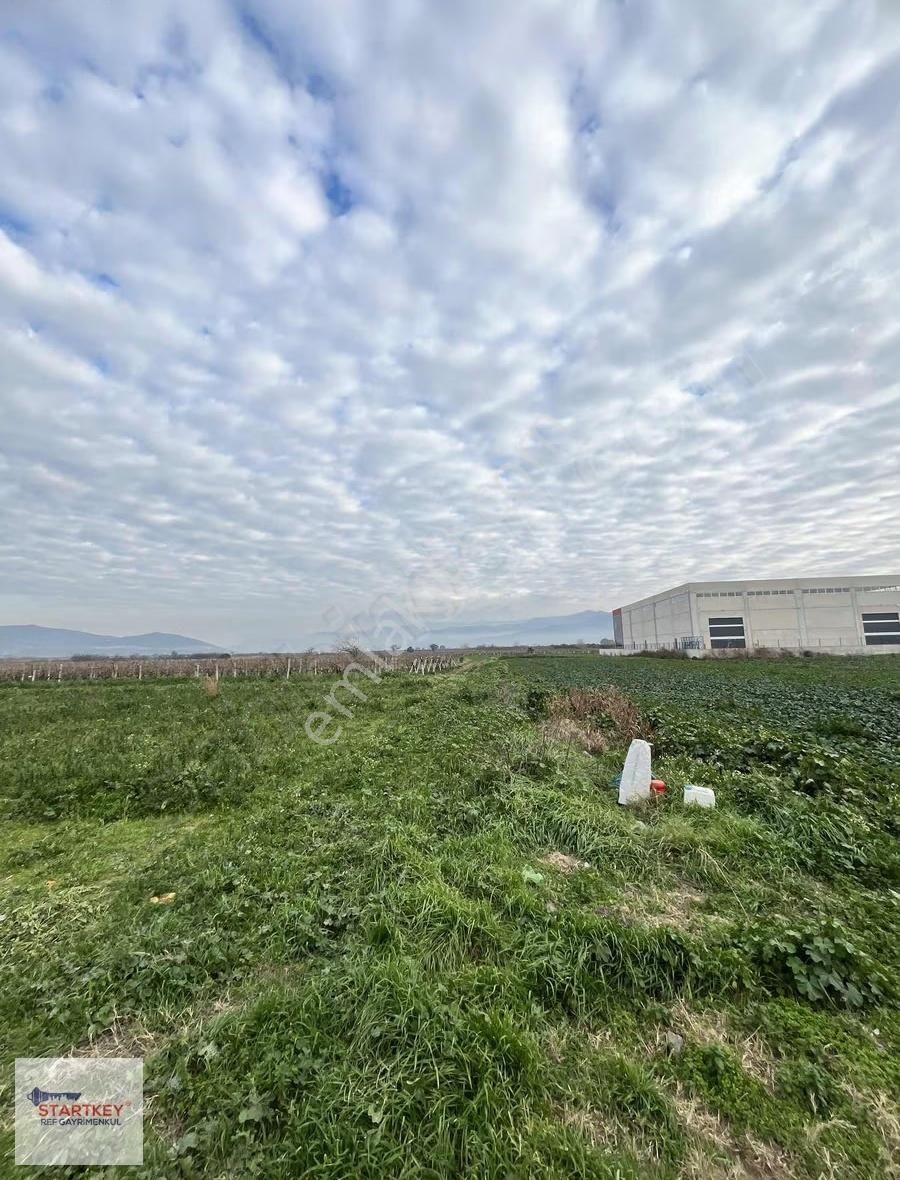 Çanakkale Asfaltı Üzeri Satılık Tarla