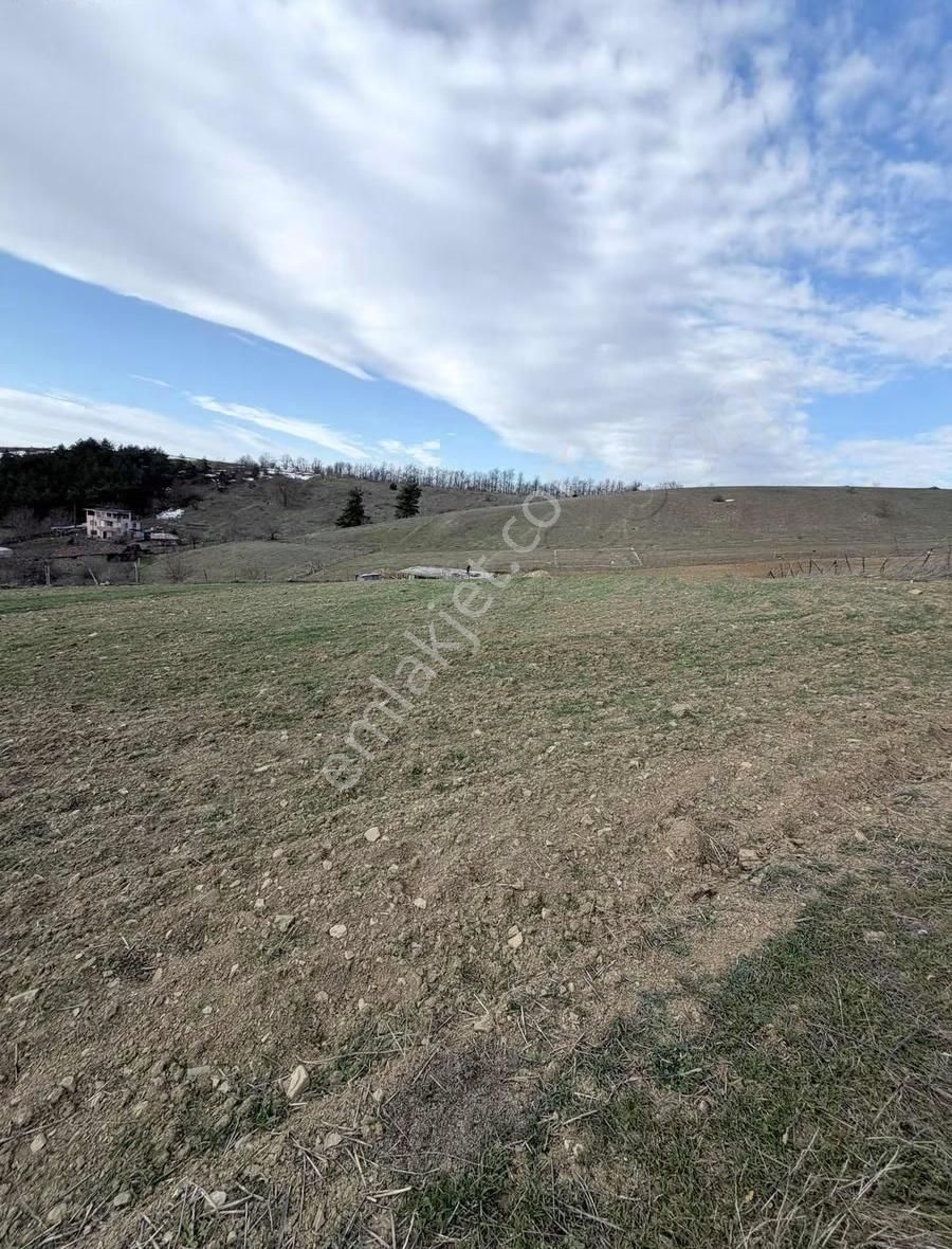 Bungolov Projelerine Uygun Parsel - Görsel 6