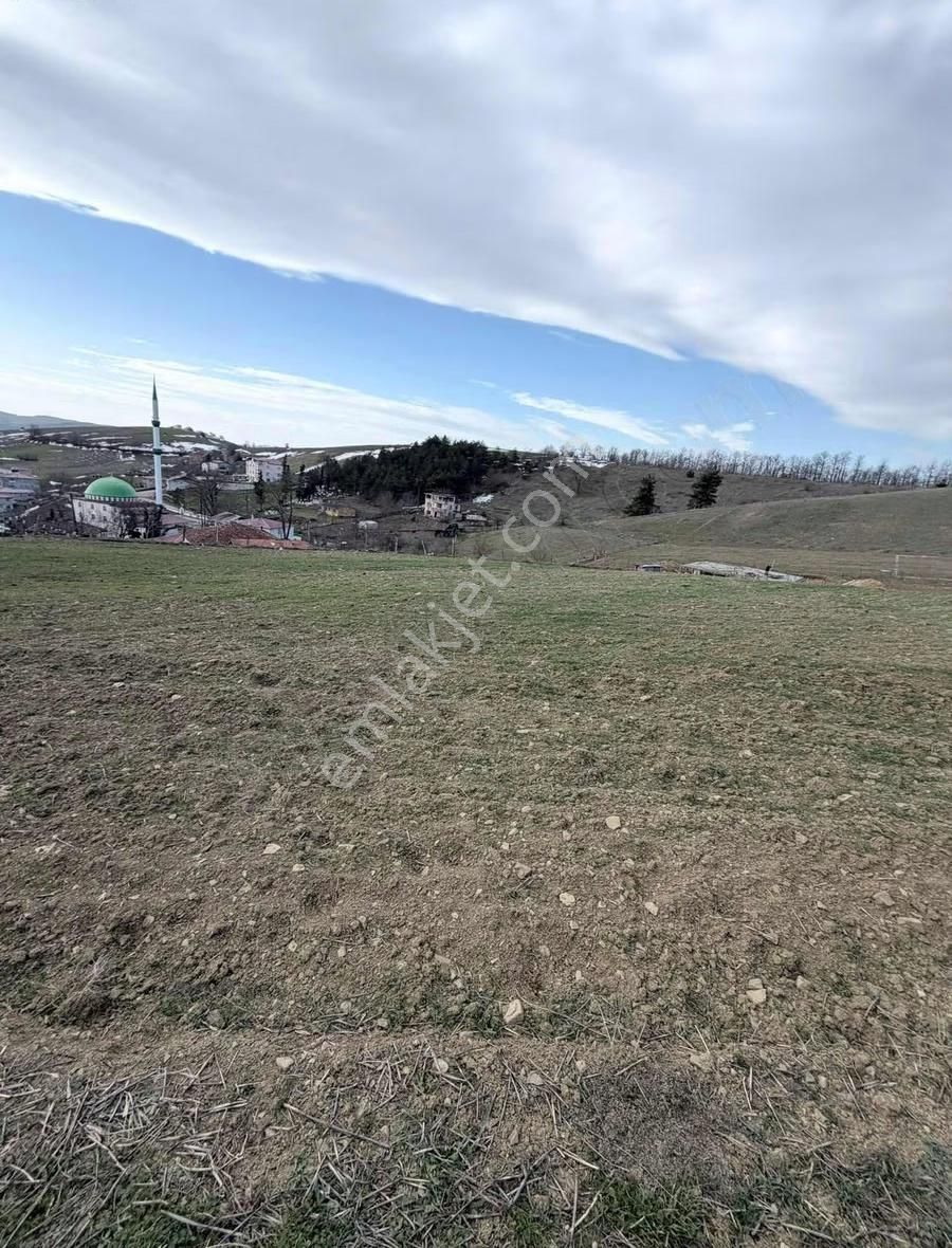 Bungolov Projelerine Uygun Parsel - Görsel 4