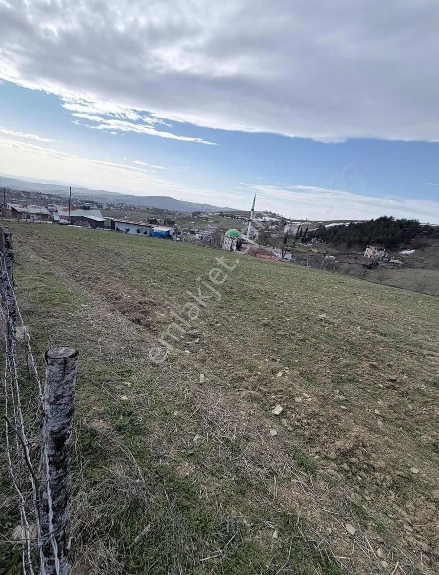 Bungolov Projelerine Uygun Parsel - Görsel 11