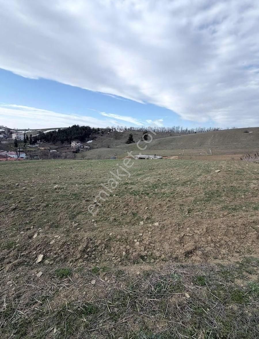 Bungolov Projelerine Uygun Parsel - Görsel 10