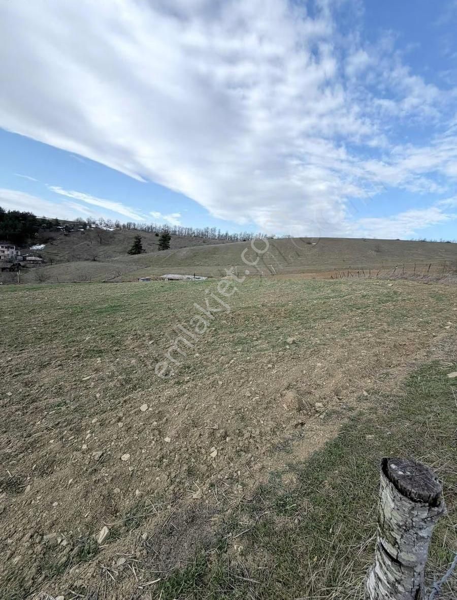 Bungolov Projelerine Uygun Parsel - Görsel 7