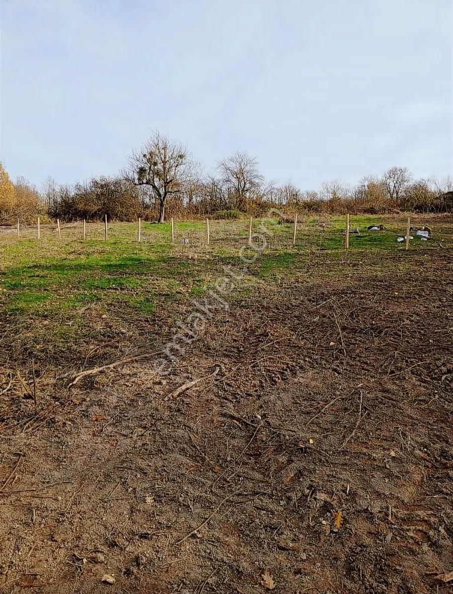 Ev Yapımına Uygun Parseller - Görsel 2