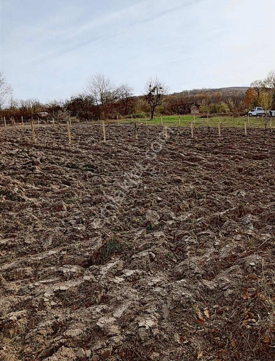 Ev Yapımına Uygun Parseller