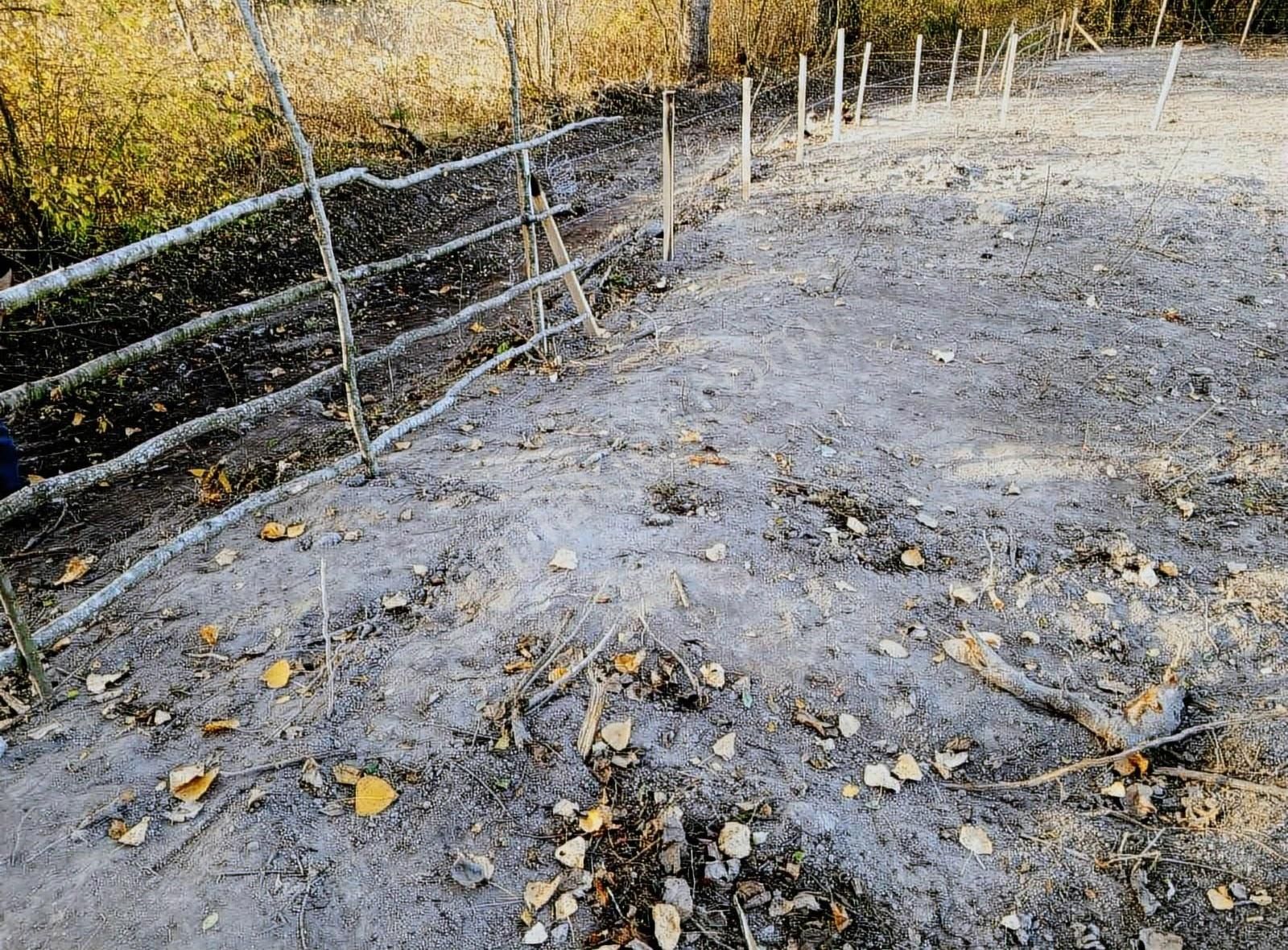 Ev Yapımına Uygun Parseller - Görsel 7