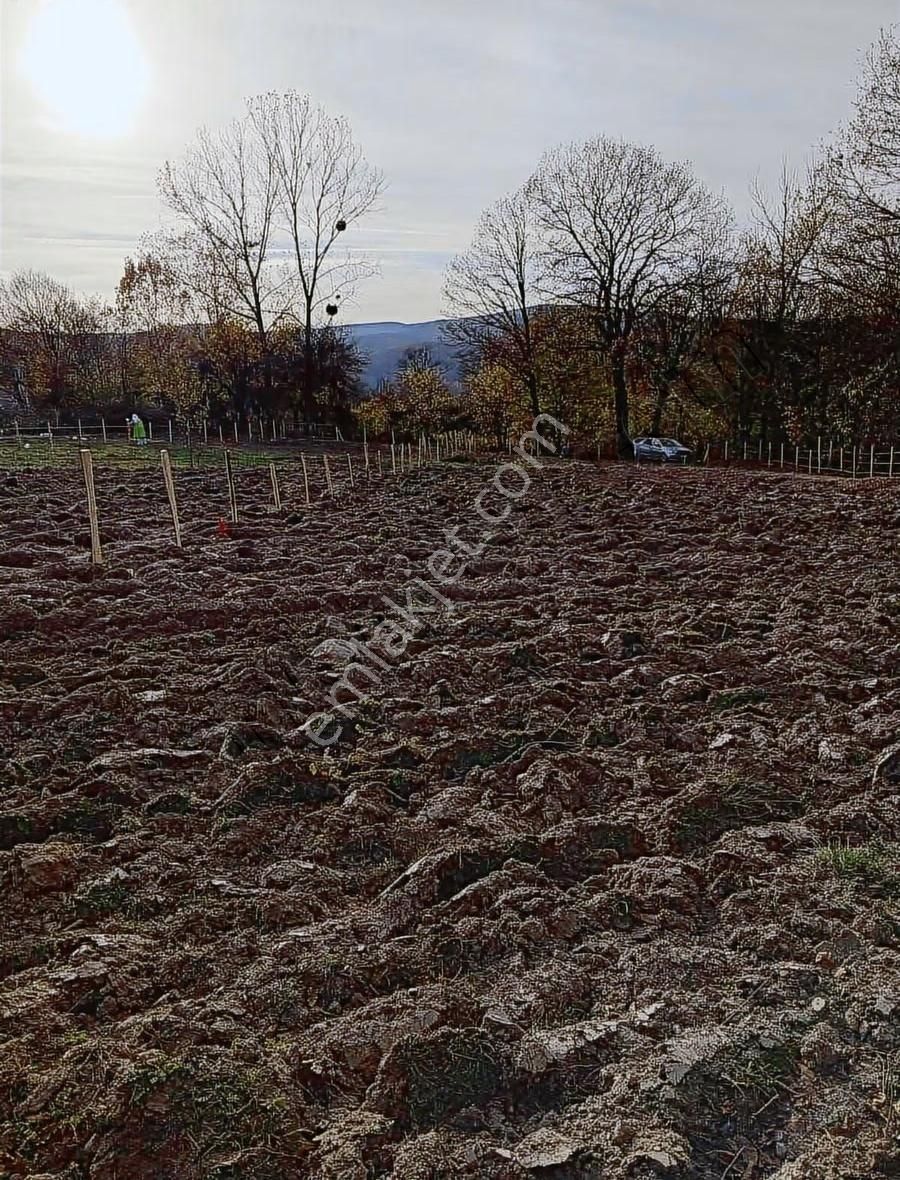 Ev Yapımına Uygun Parseller - Görsel 5