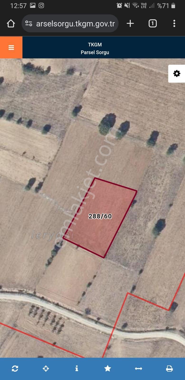 Hızlı Trene Yakın Acil Satılık Verimli Arazi