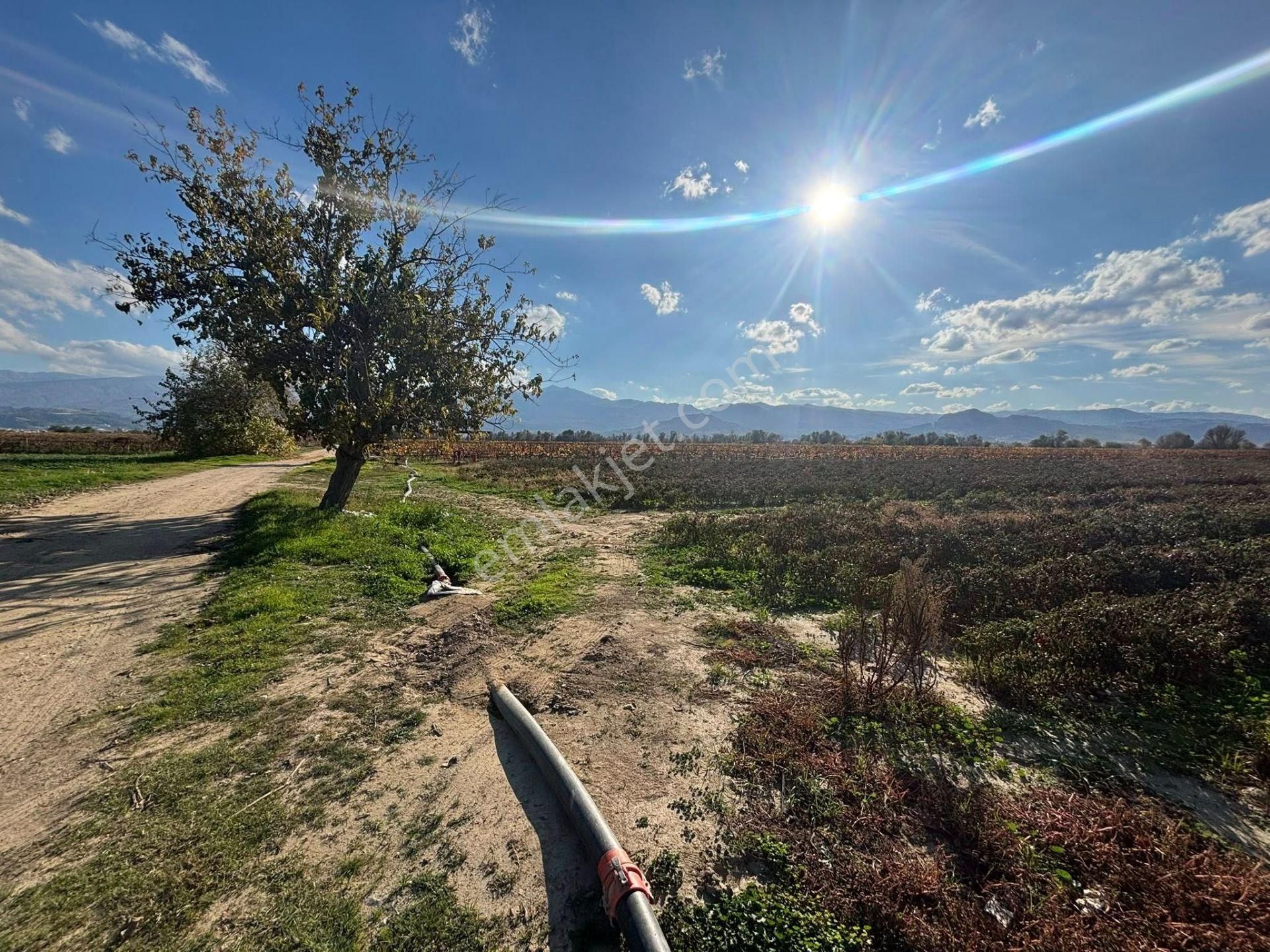 Tc Emlaktan Satılık 10 Dönüm Tarla ! 6 Lık Su