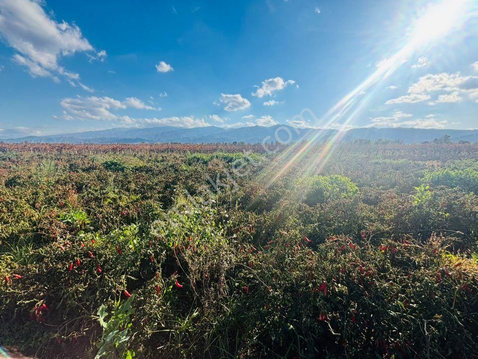 Tc Emlaktan Satılık 10 Dönüm Tarla ! 6 Lık Su - Görsel 24