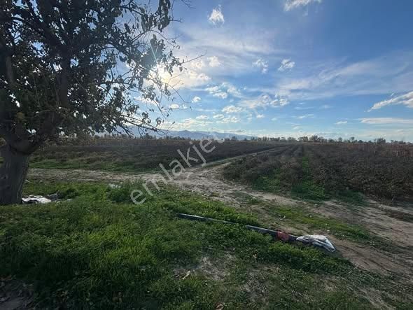 Tc Emlaktan Satılık 10 Dönüm Tarla ! 6 Lık Su - Görsel 11