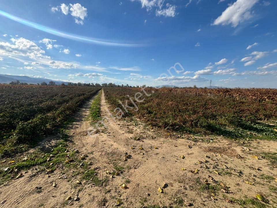 Tc Emlaktan Satılık 10 Dönüm Tarla ! 6 Lık Su - Görsel 13