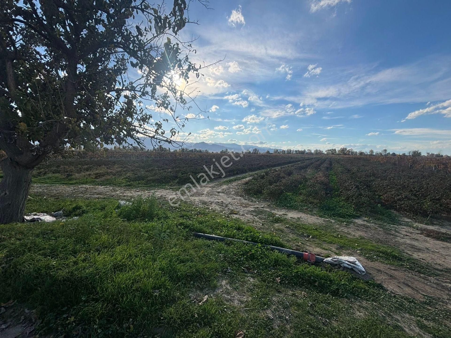 Tc Emlaktan Satılık 10 Dönüm Tarla ! 6 Lık Su - Görsel 10