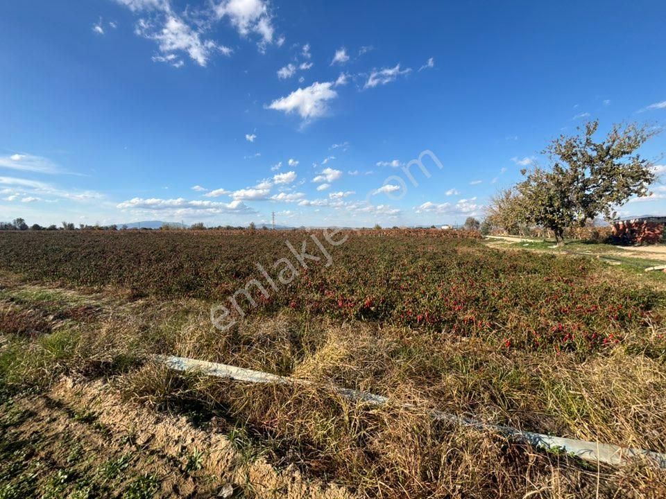 Tc Emlaktan Satılık 10 Dönüm Tarla ! 6 Lık Su - Görsel 25