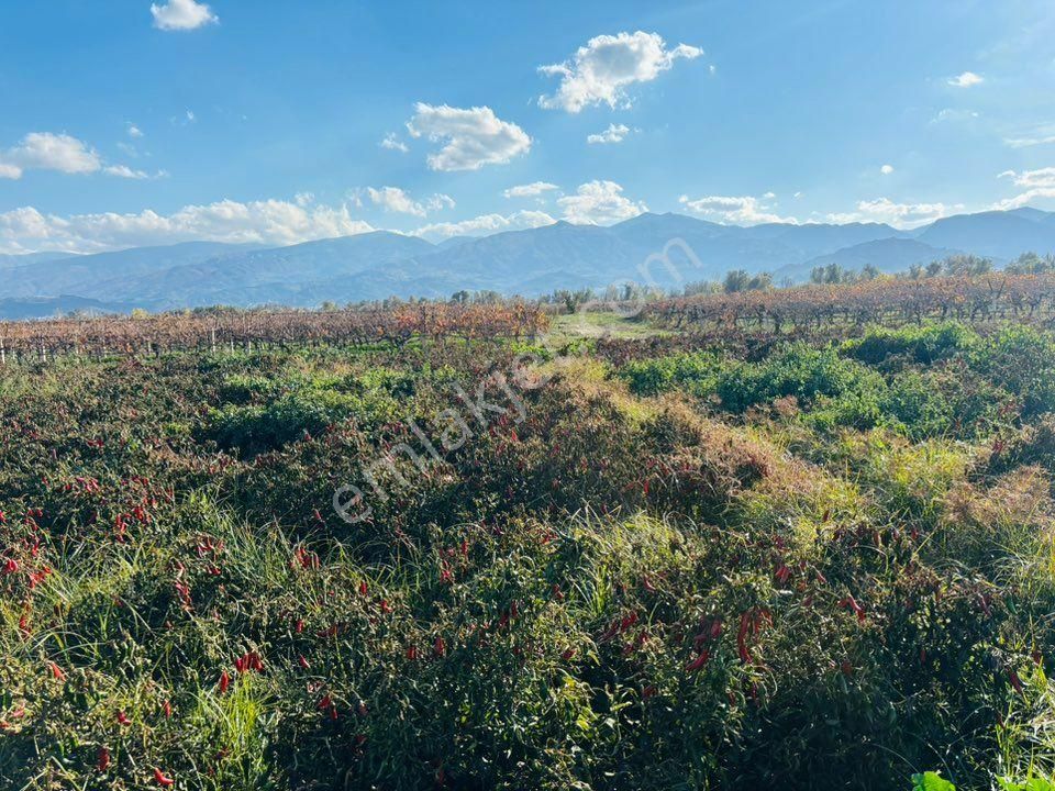Tc Emlaktan Satılık 10 Dönüm Tarla ! 6 Lık Su - Görsel 28