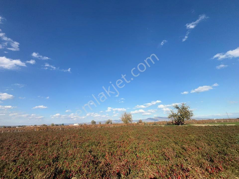 Tc Emlaktan Satılık 10 Dönüm Tarla ! 6 Lık Su - Görsel 16